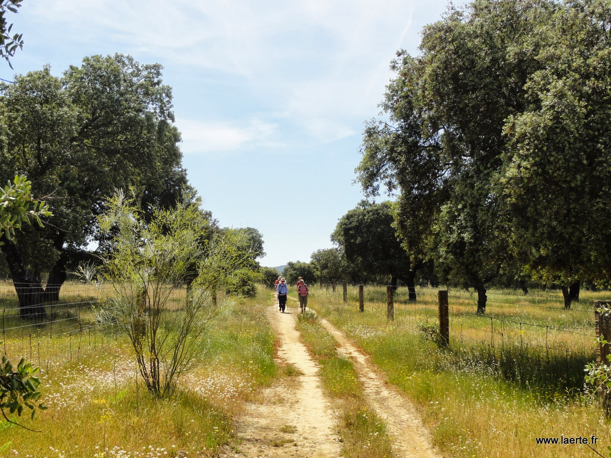 Image La Via de la Plata : de Càceres  à Salamanca