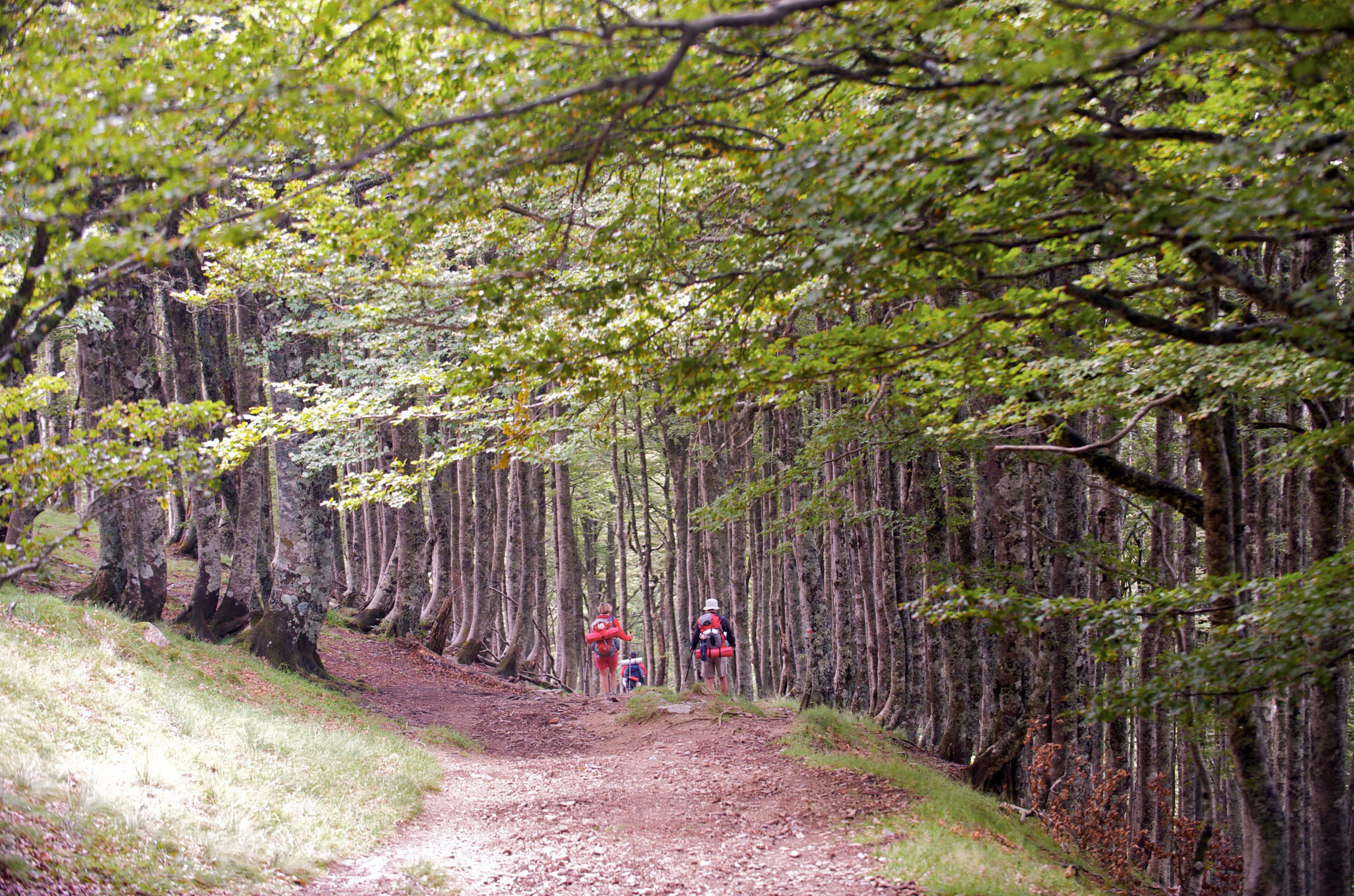 Image De Ribadeo à Santiago de Compostela, par le Camino Norte