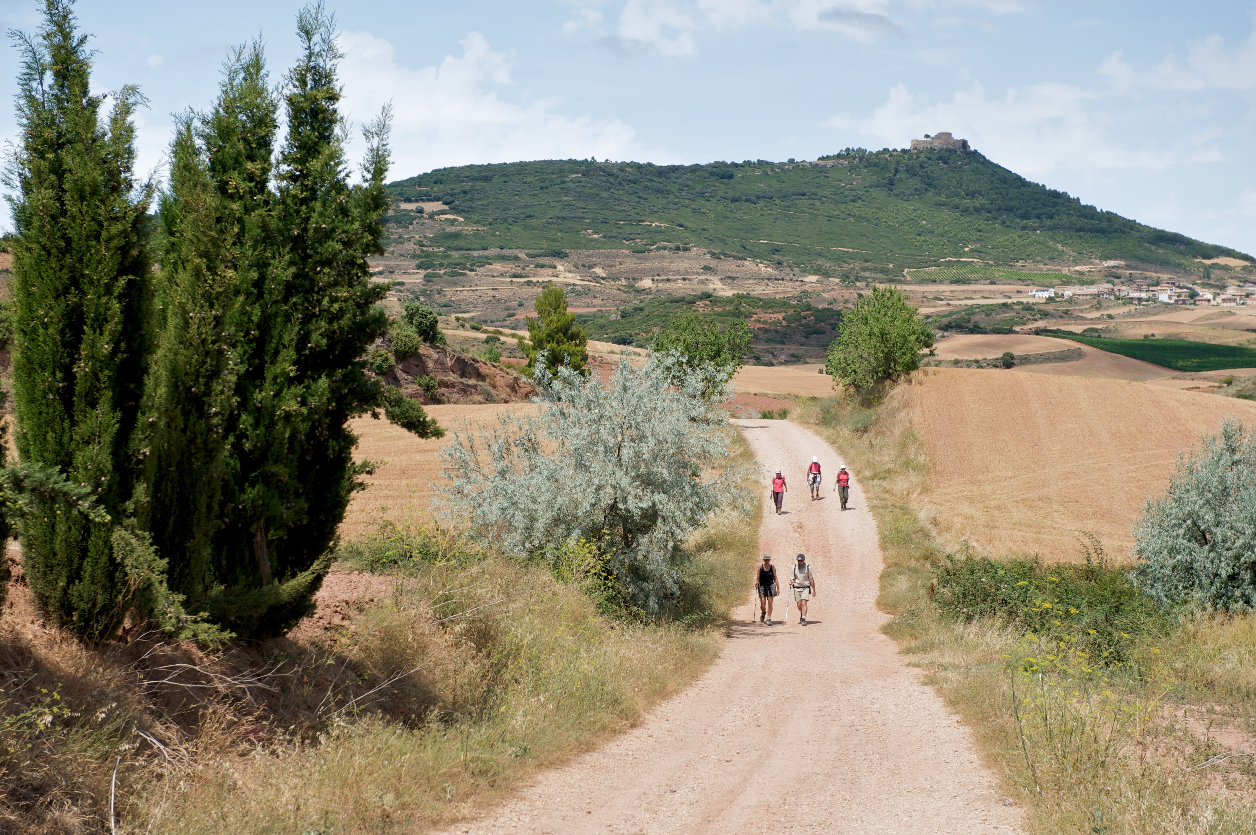 Image De Burgos à León, à petits pas