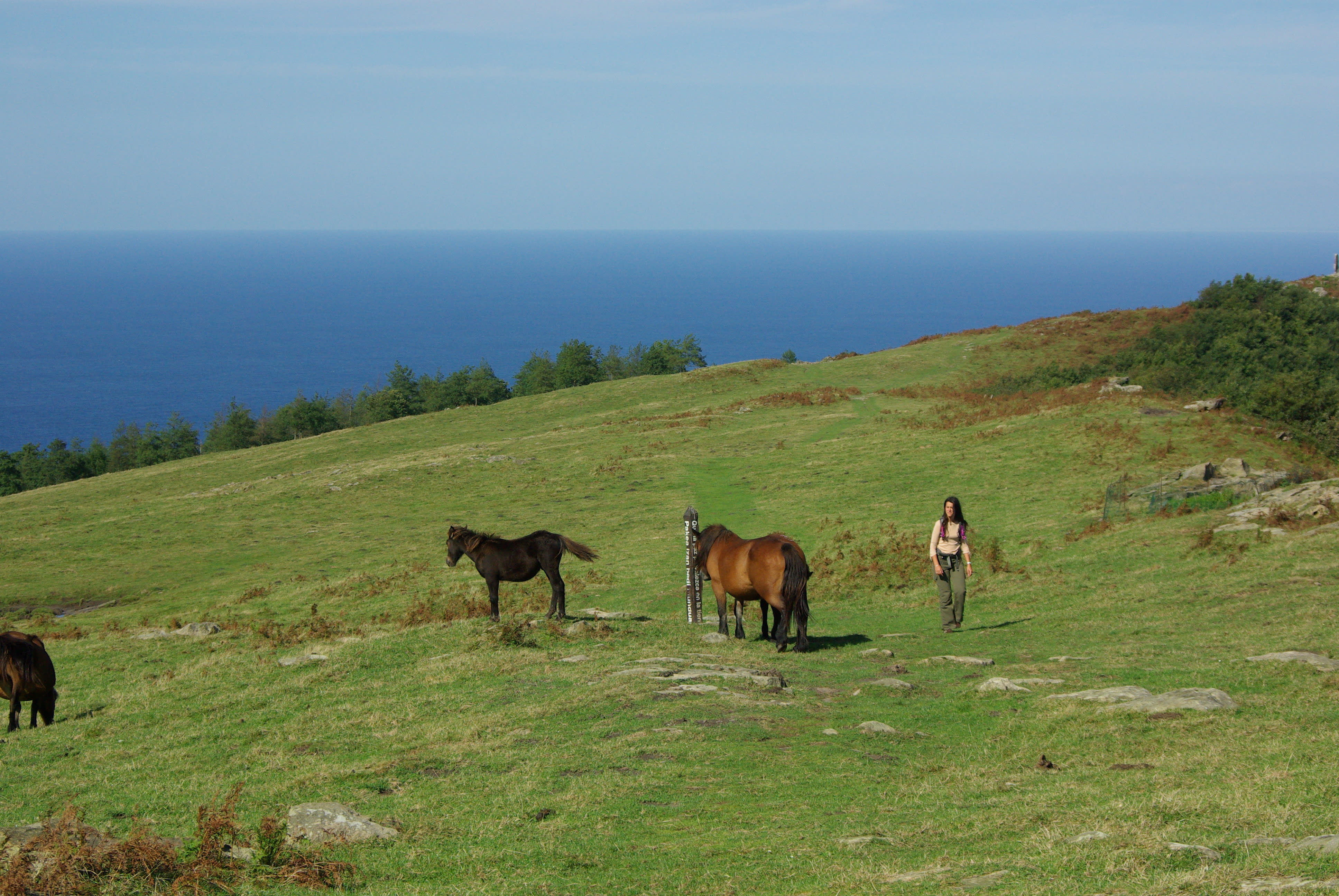 Image De Hendaye à Bilbao, par le Camino Norte