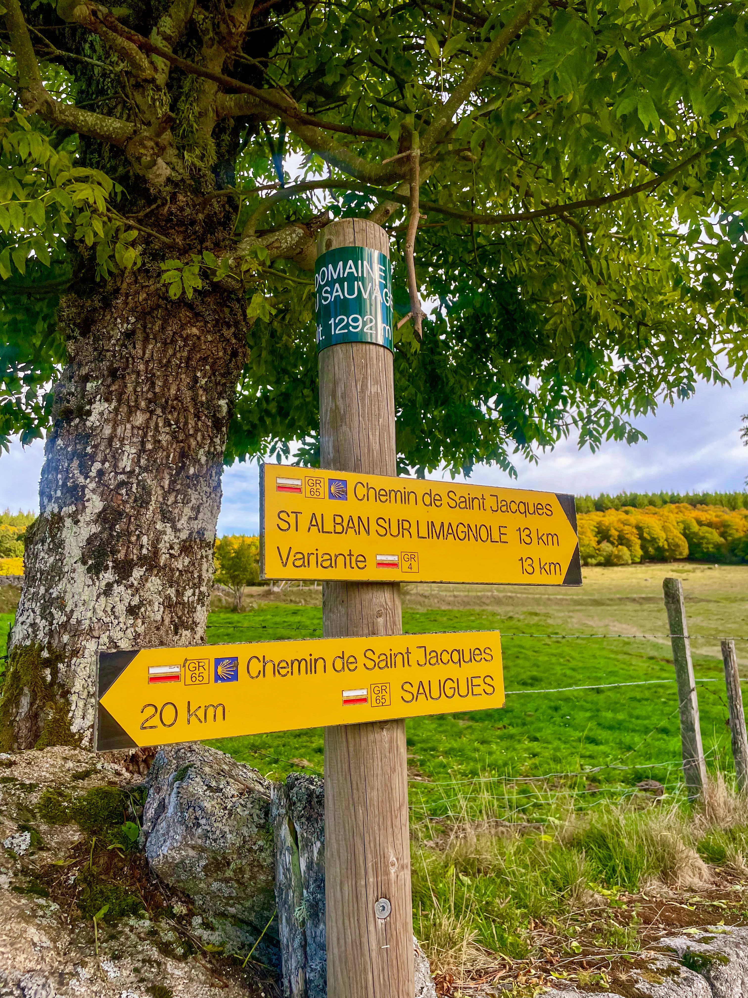 Image Chemin de Compostelle, Le Puy - Conques