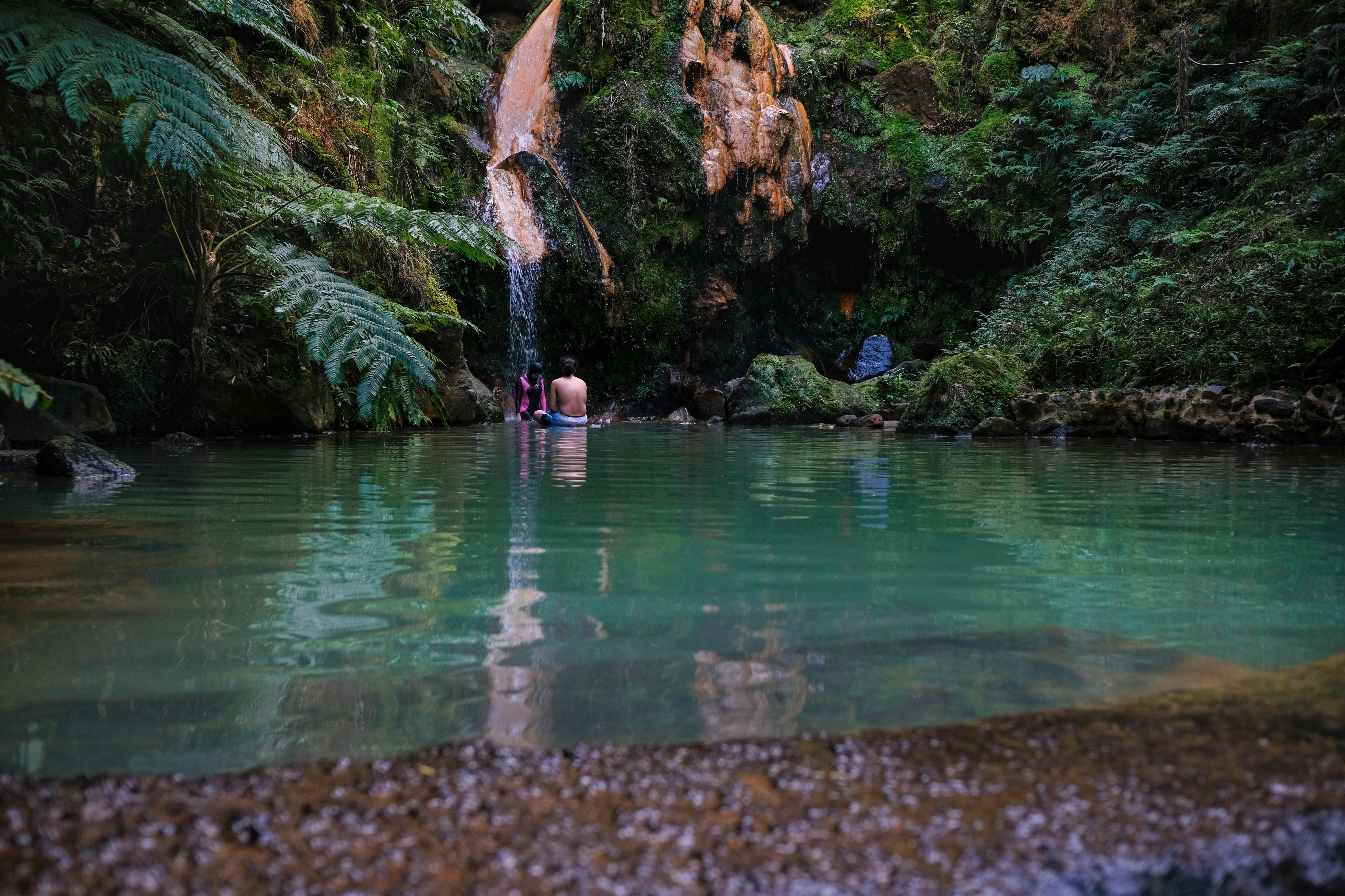 Image Sao Miguel, l'île verte