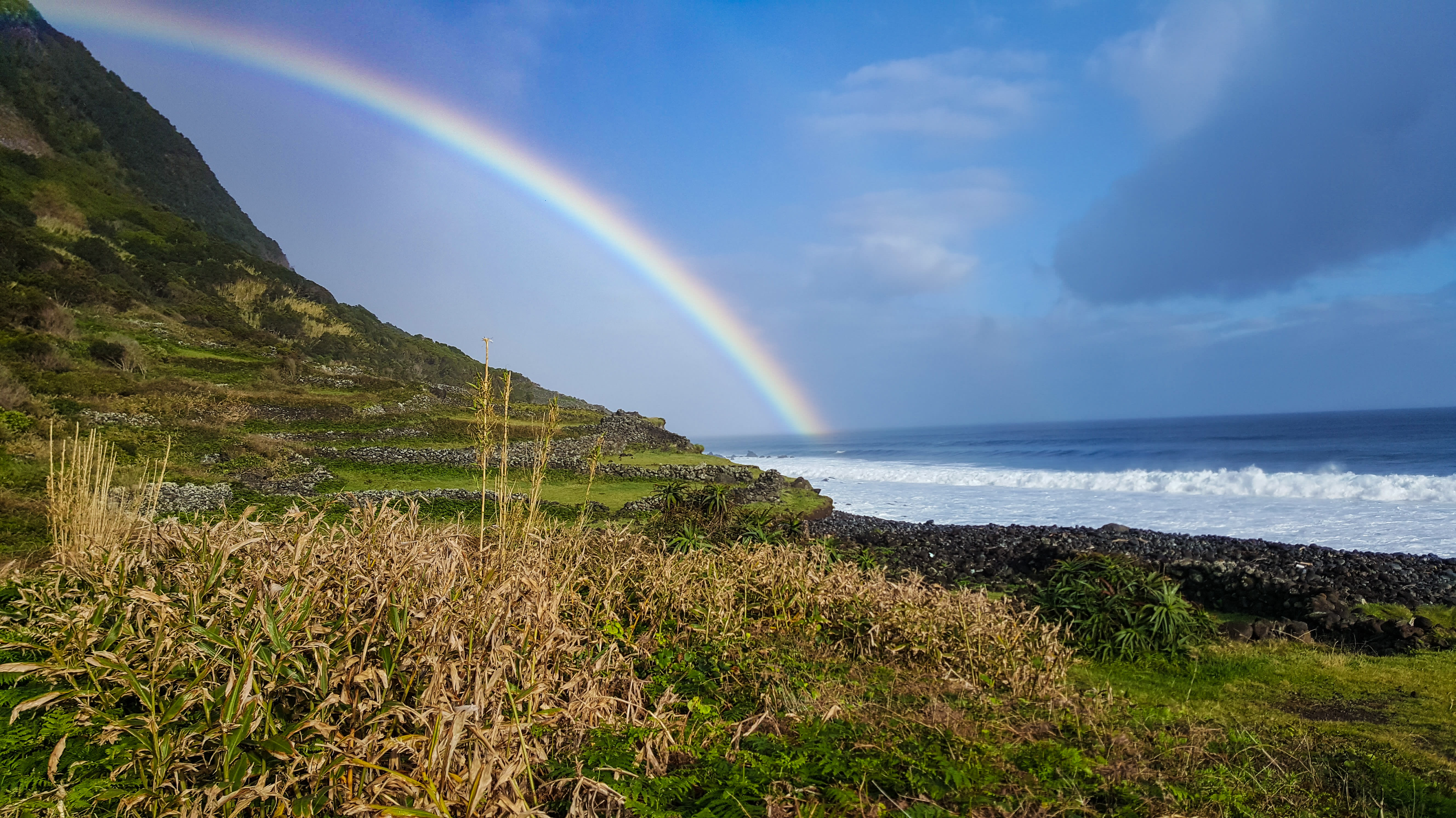Trek - Baleines, volcans et hortensias