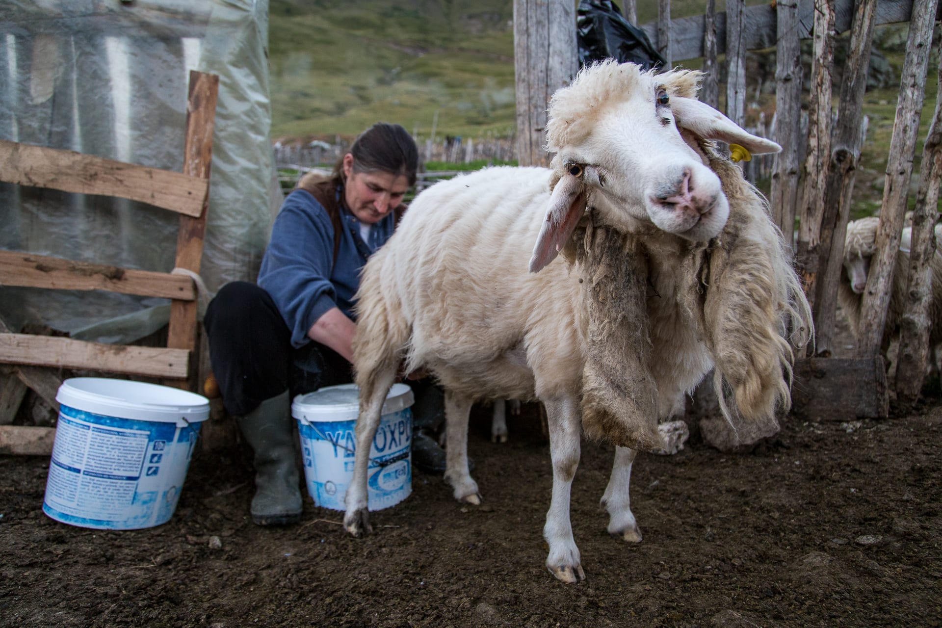 Image Le trek des Balkans