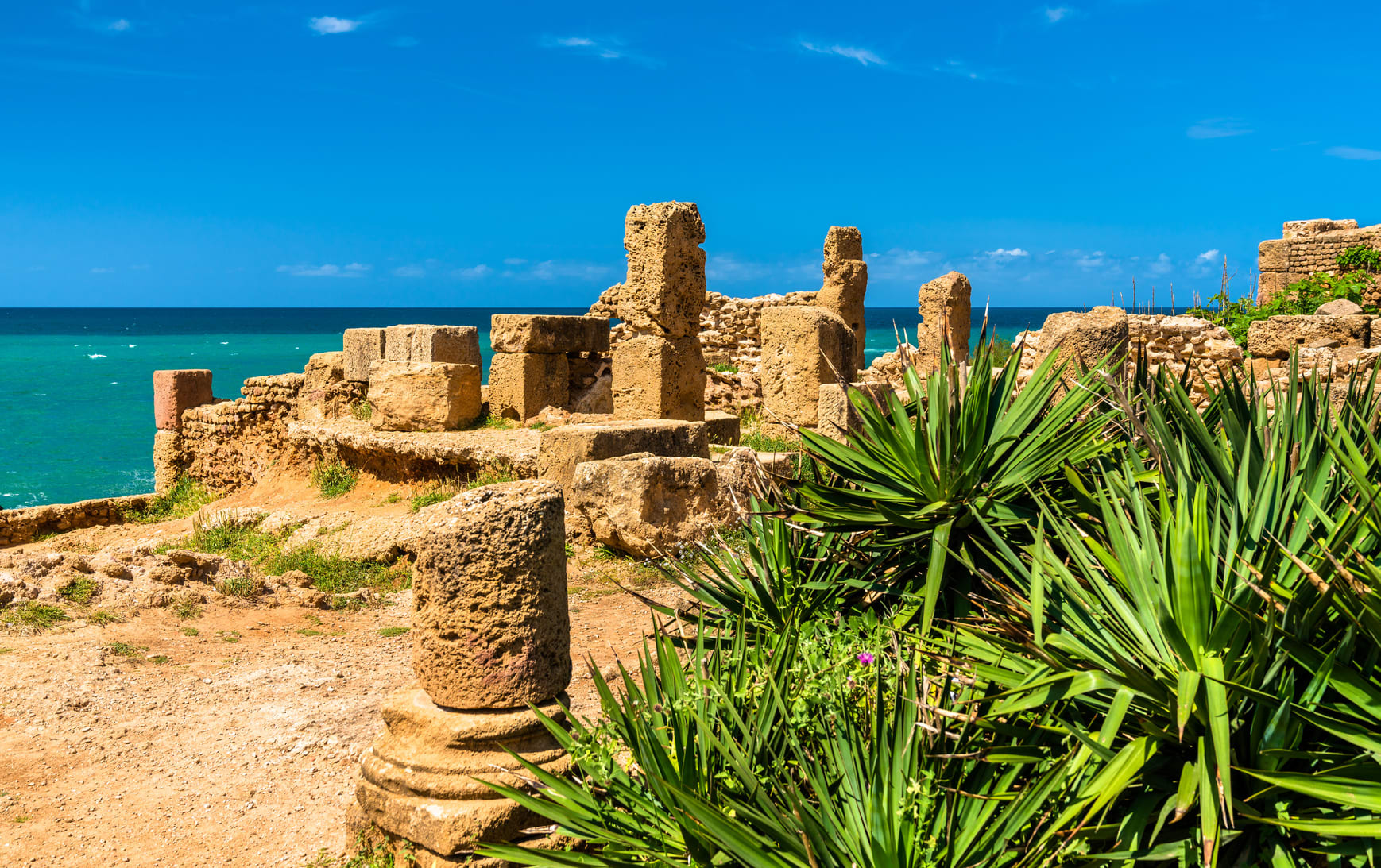 Image D'Oran à Timimoun, la boucle des Oasis