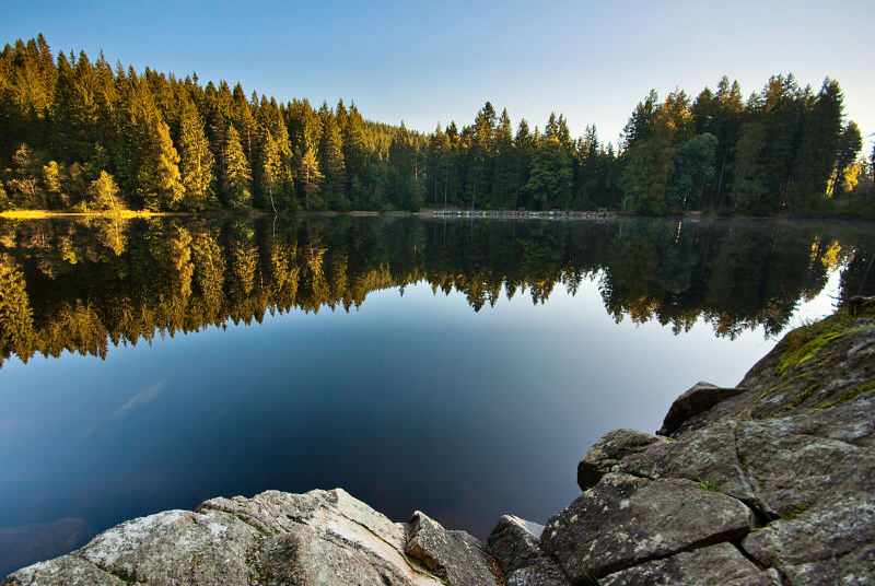 Image Tour de la Haute Forêt Noire