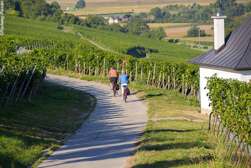 Le tour de la Forêt Noire