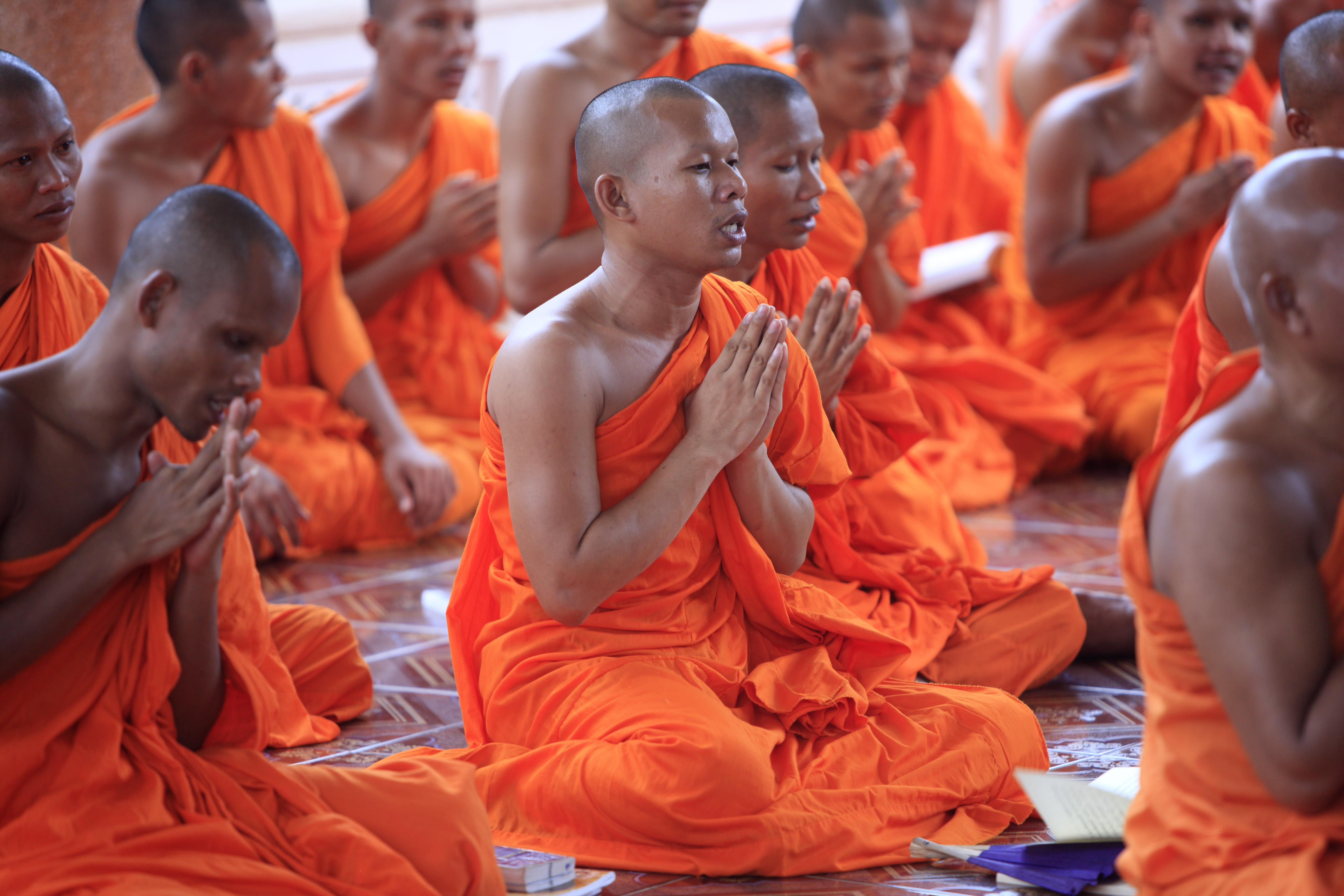 Image Angkor, la voie royale des temples oubliés
