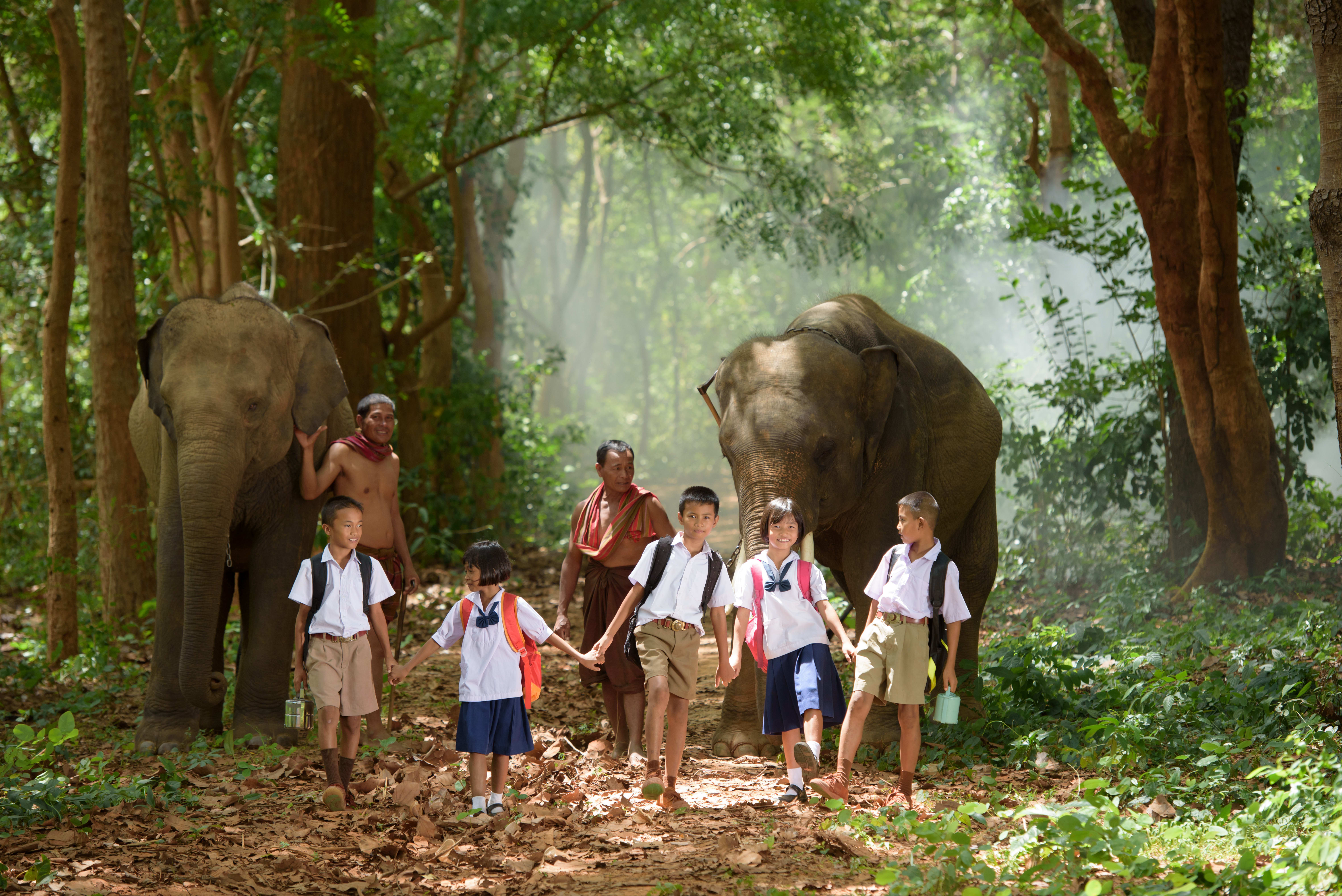Image Vous n'avez pas Angkor tout vu
