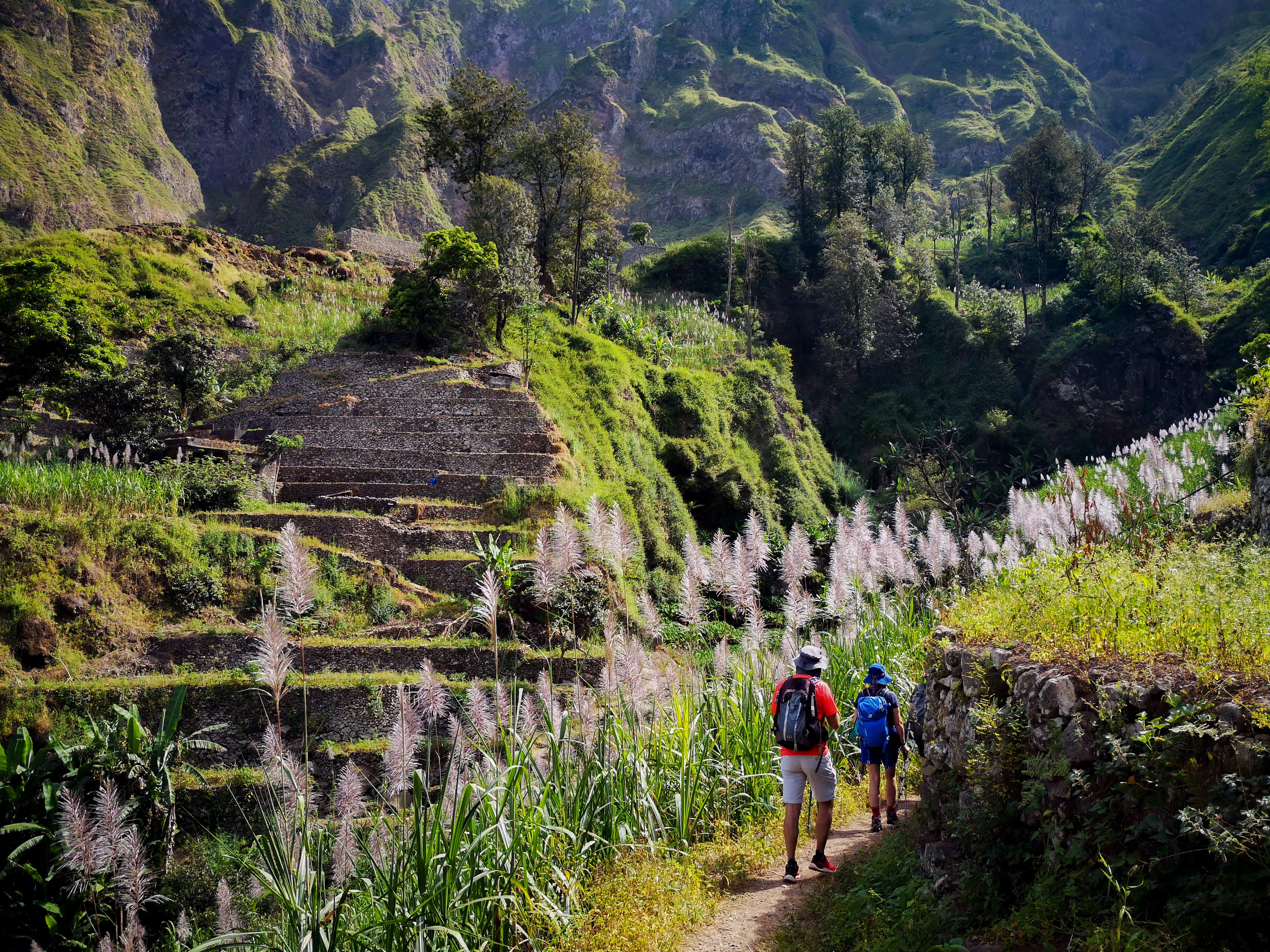 Image Santo Antao en douceur