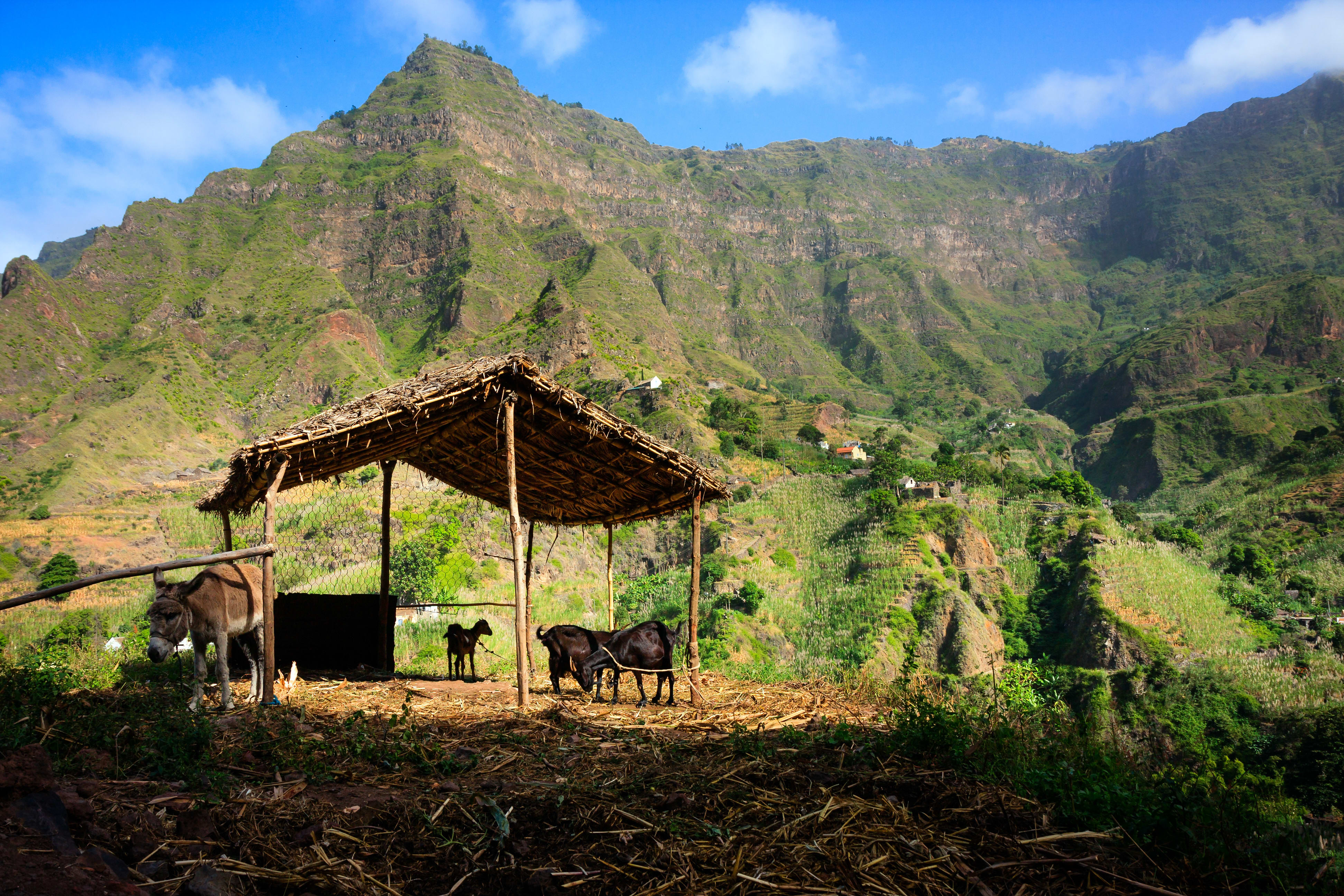 Image Santo Antao en douceur