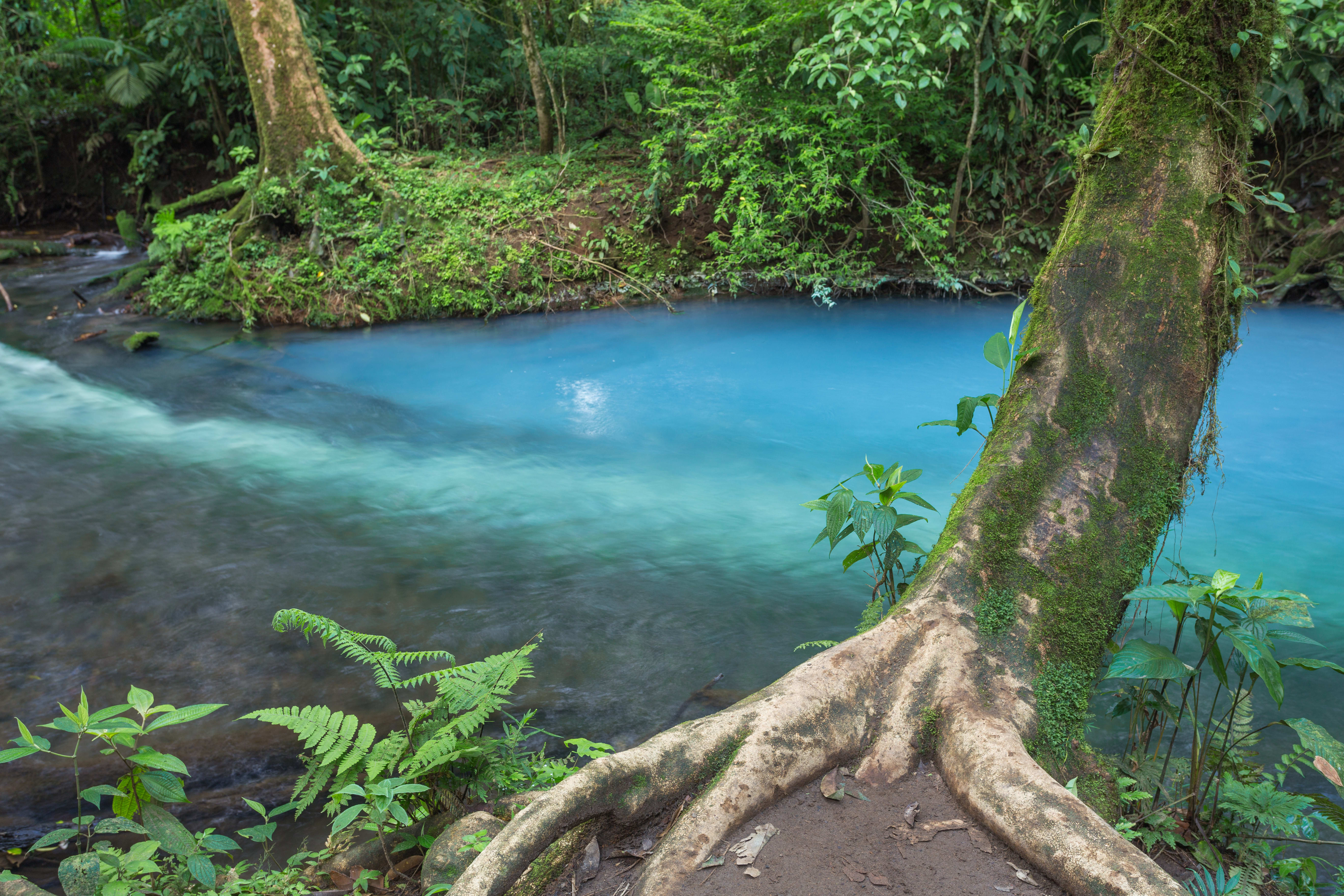 Image Quetzal et rives du Pacifique