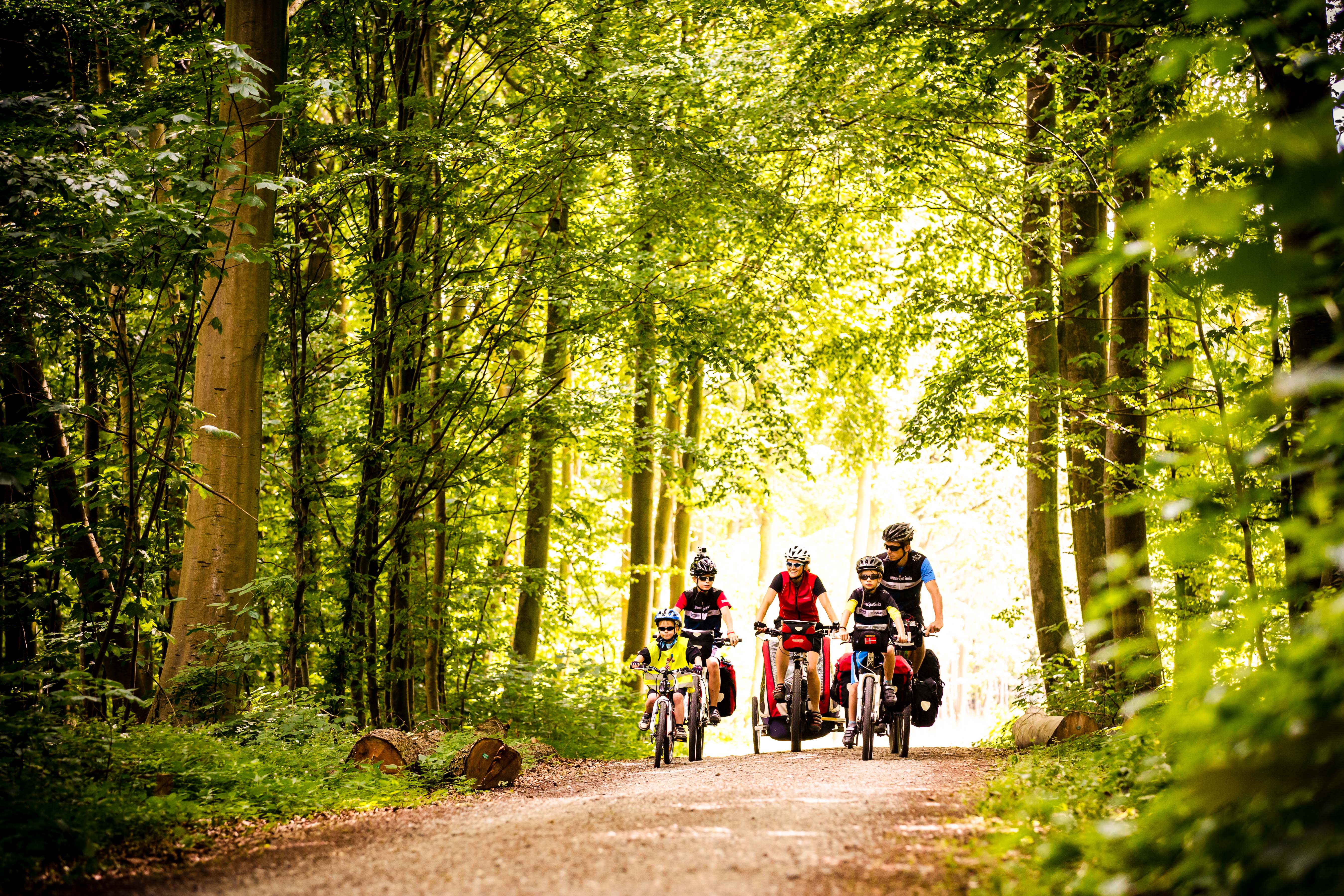 Image Danemark à vélo, de Odense à l'Île d'Ærø