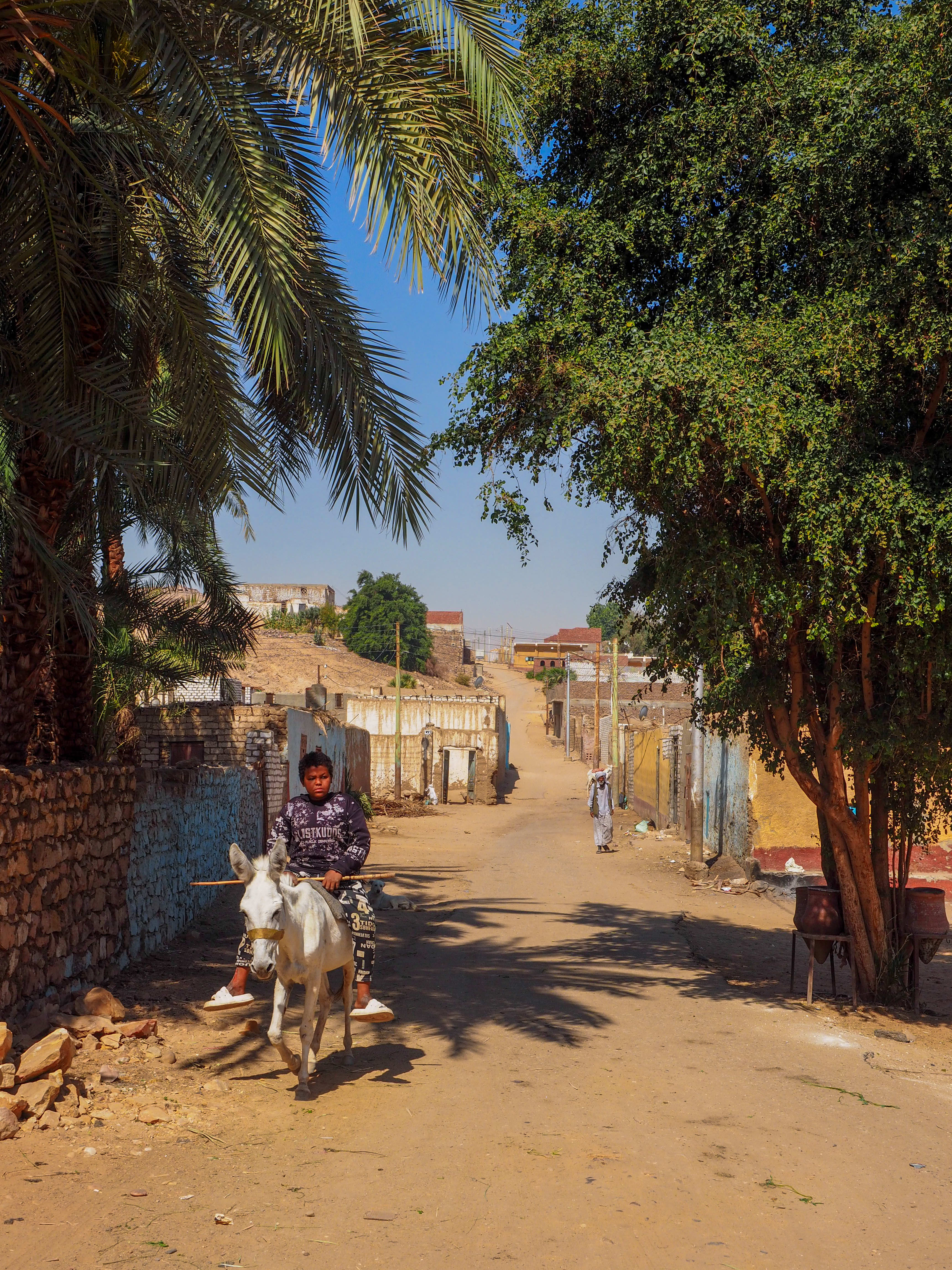 Image Sur les pas de Ramsès