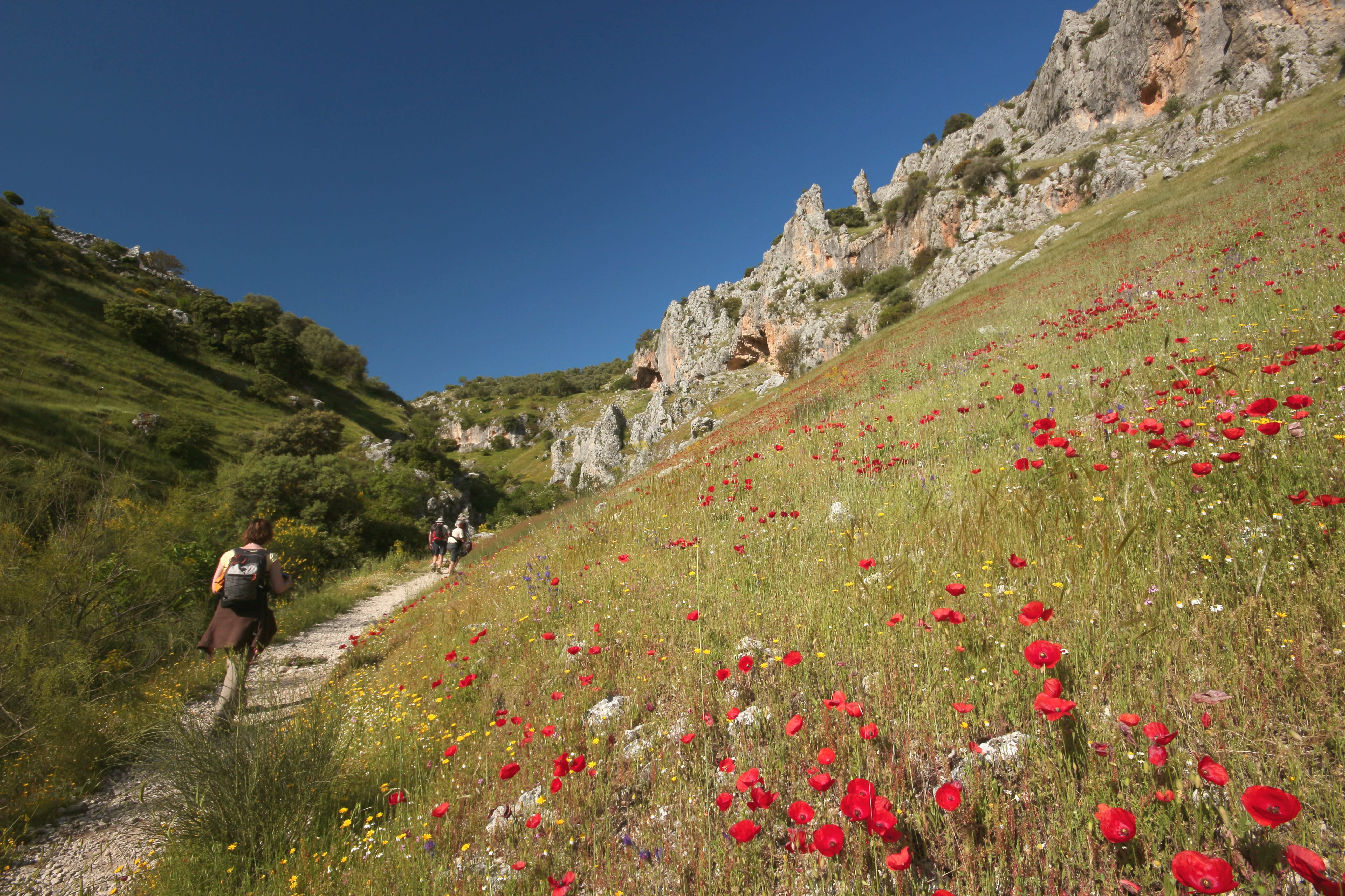 Image Andalousie, Trésors de Grenade et merveilles des Alpujarras