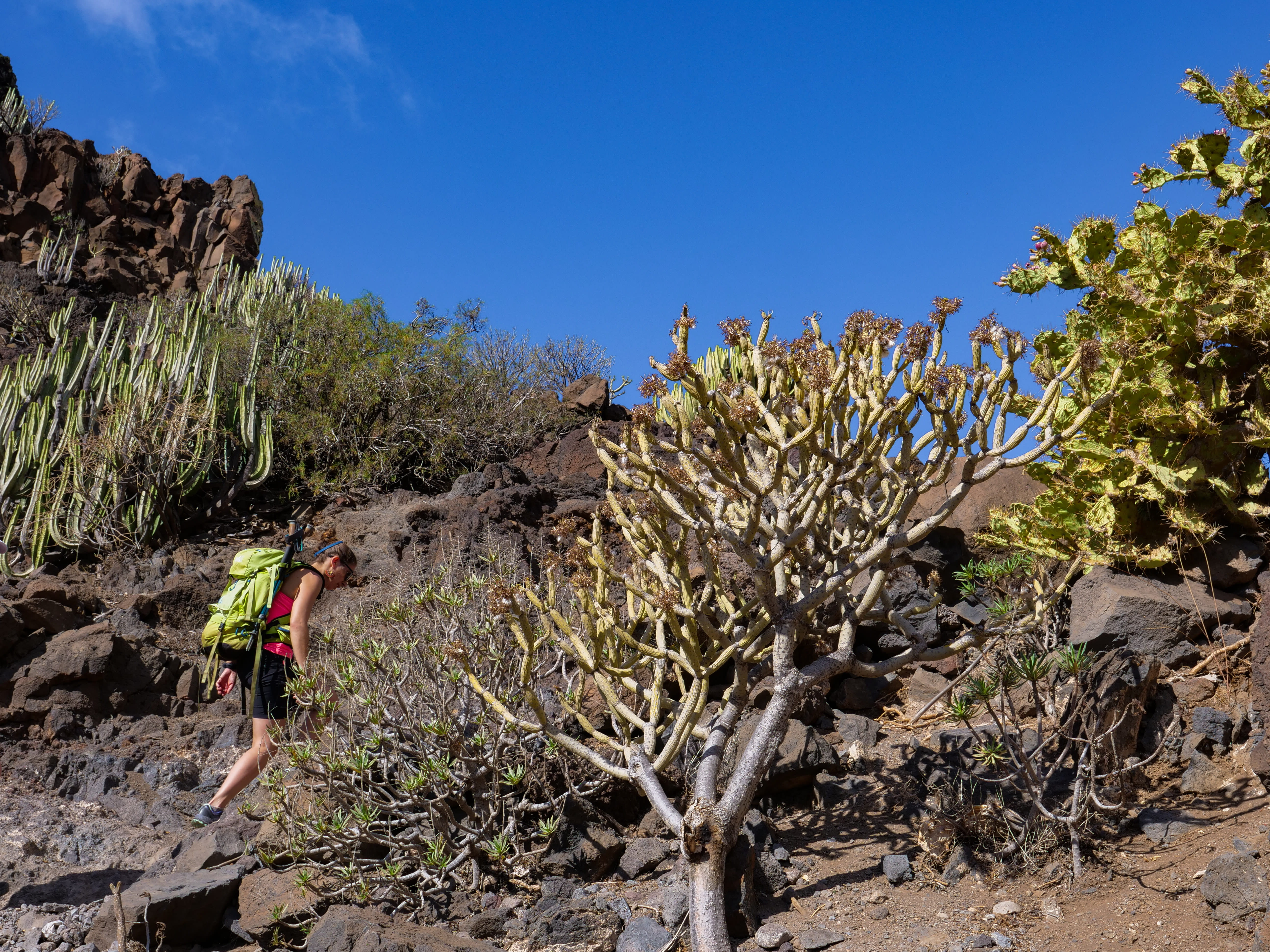 Image Gran Canarie, la grande sœur