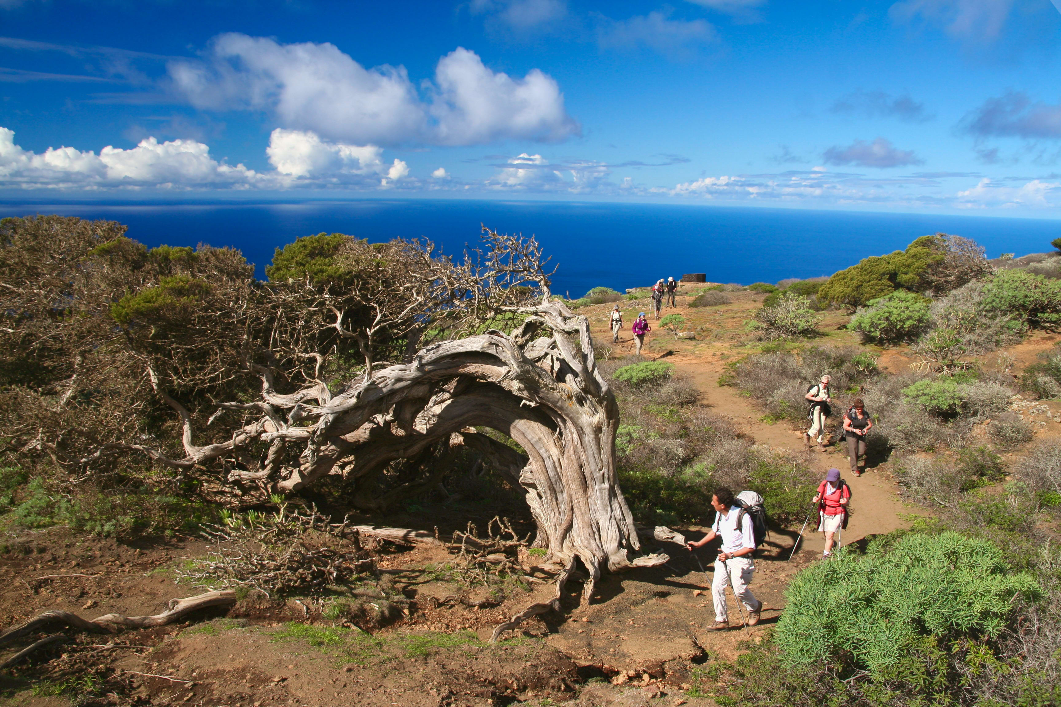 Image Hierro, la sauvage
