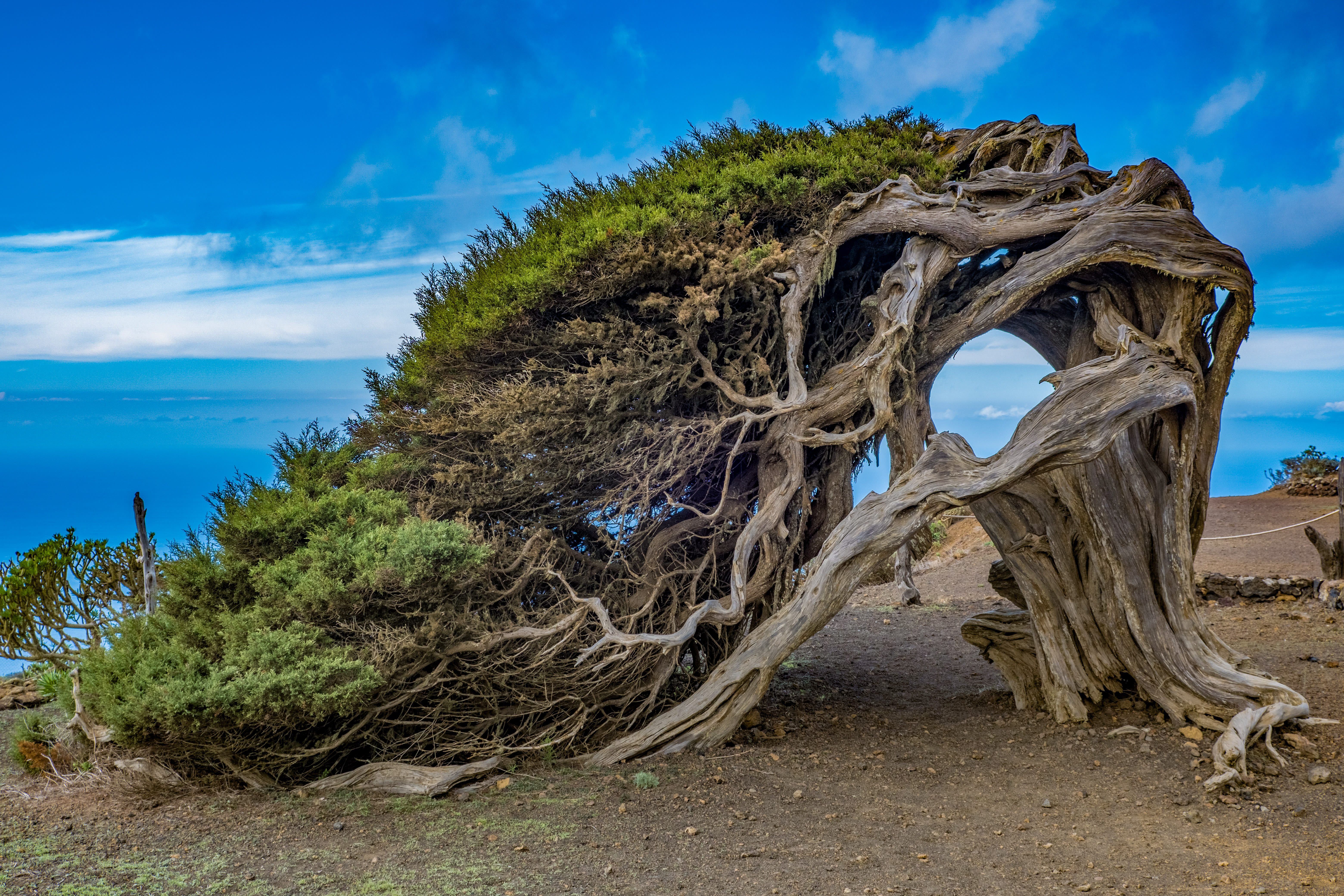 Image Hierro, l'île du "bout du monde"