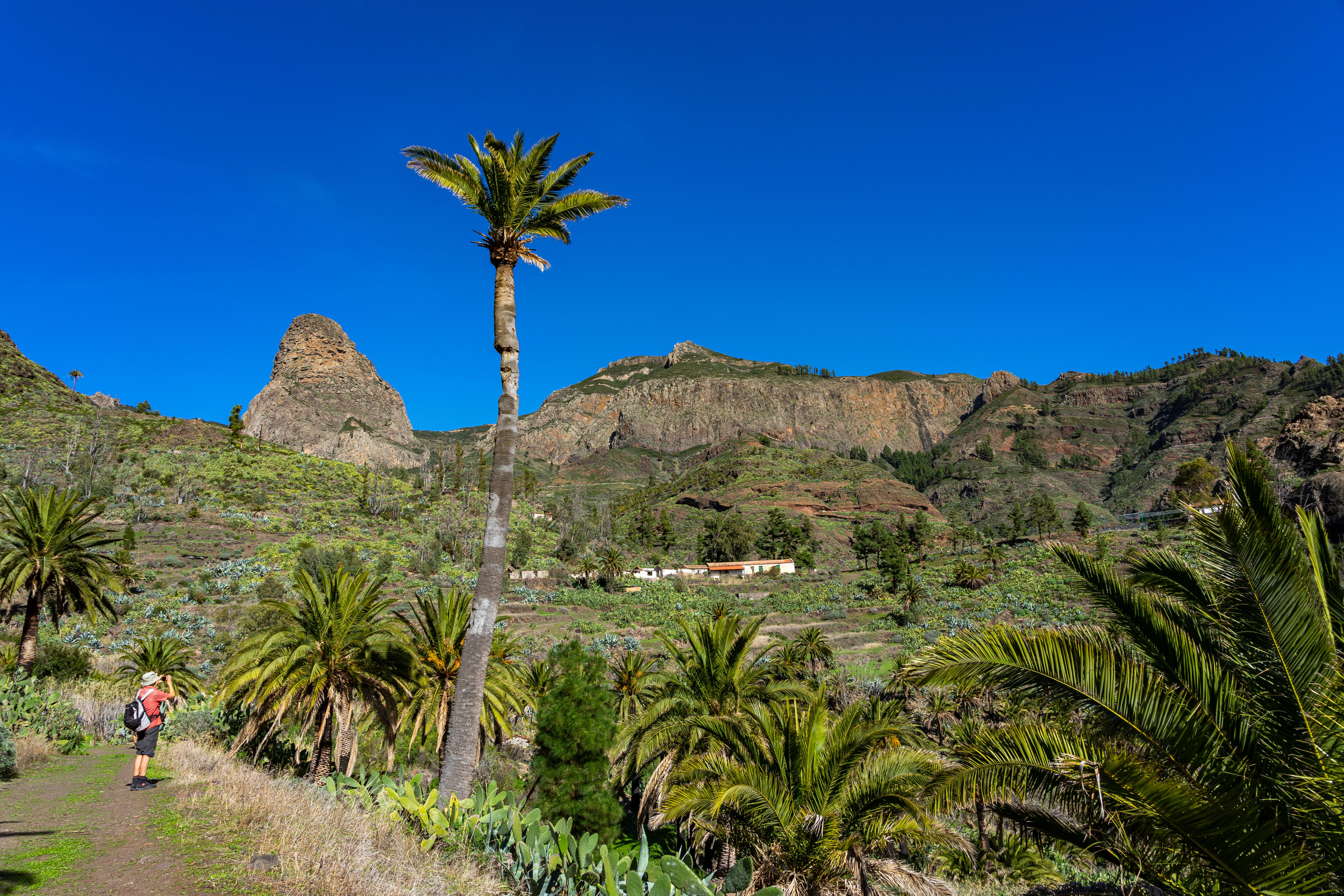 Image La Gomera
