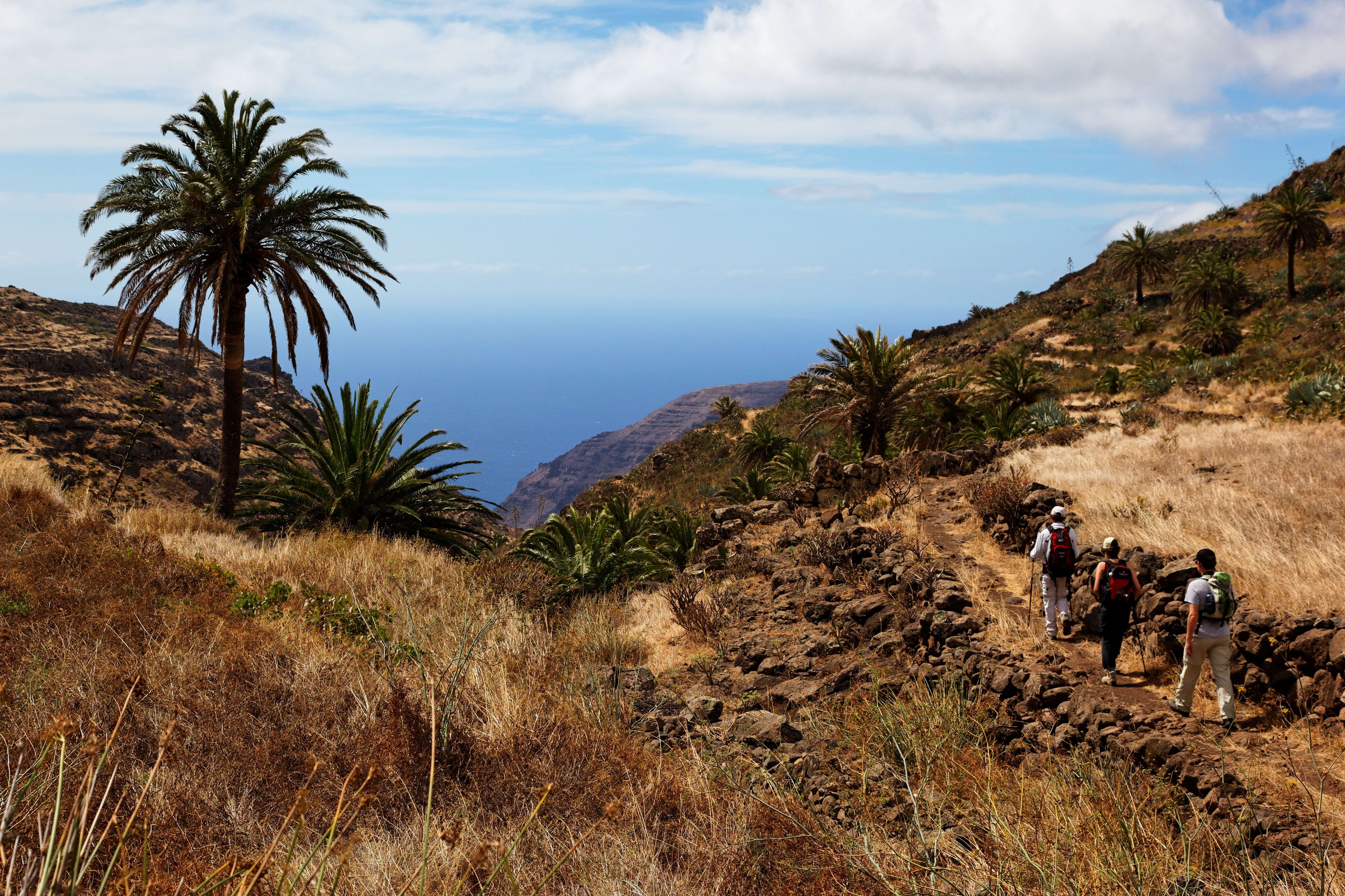 Image La boucle de la Gomera