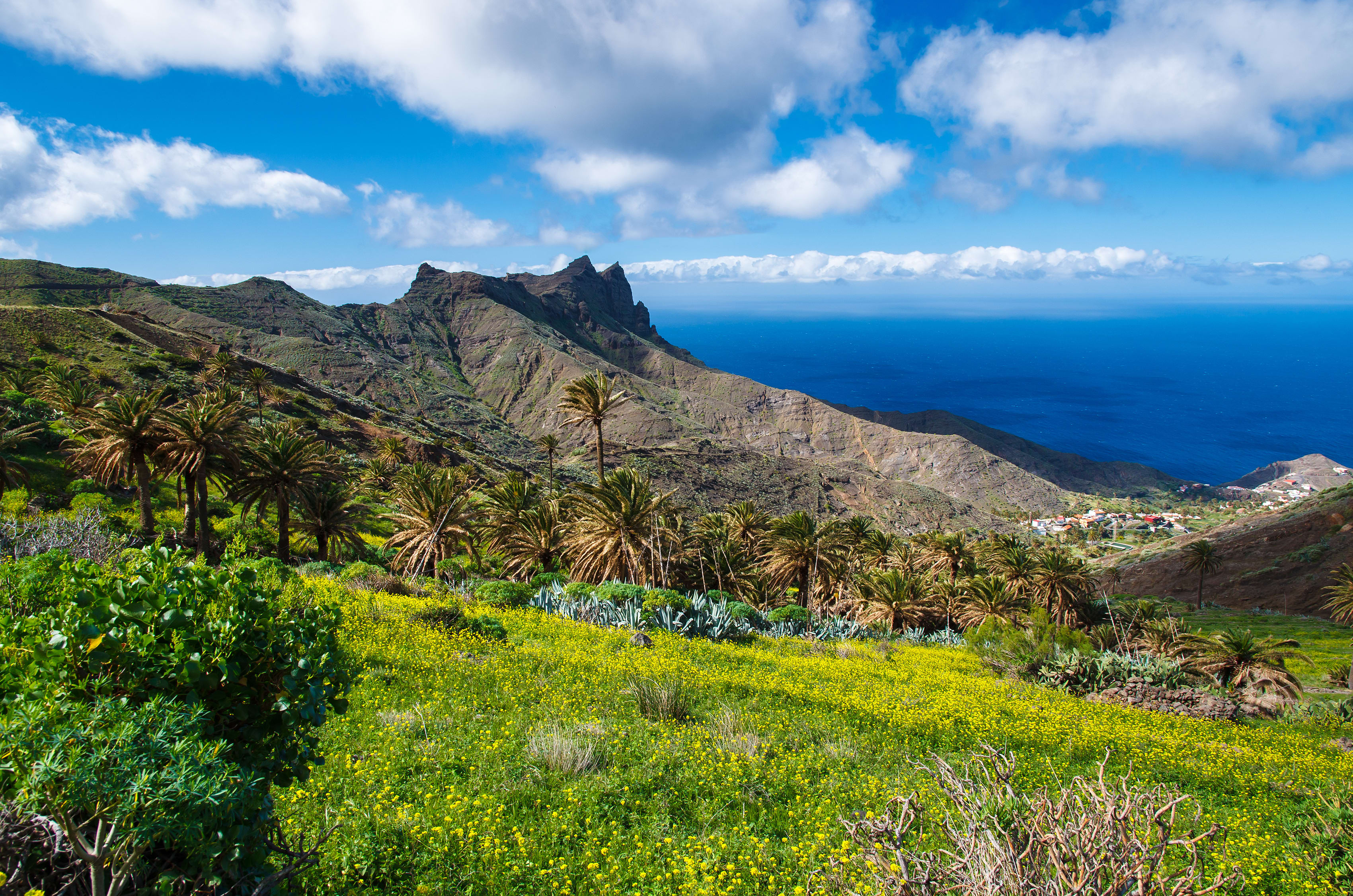 Image La boucle de la Gomera