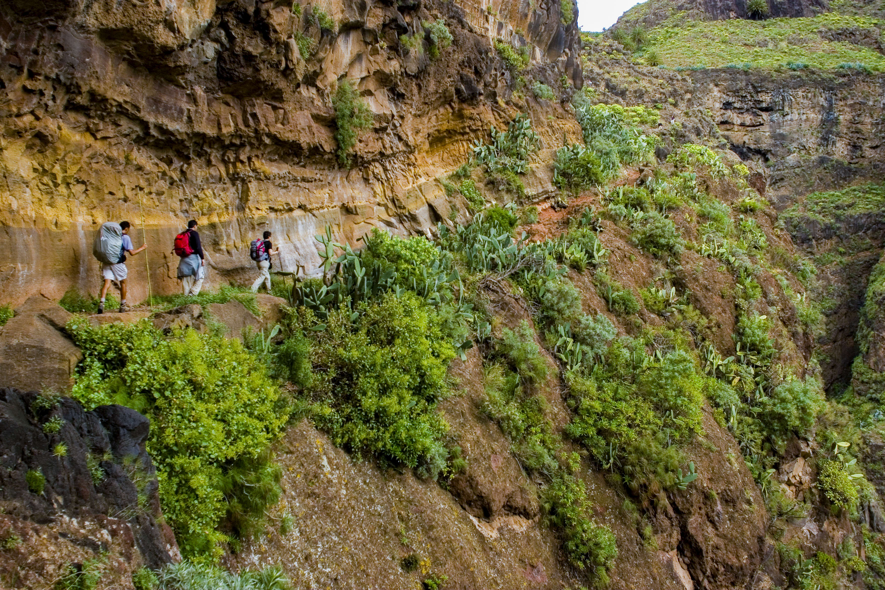 La boucle de la Gomera