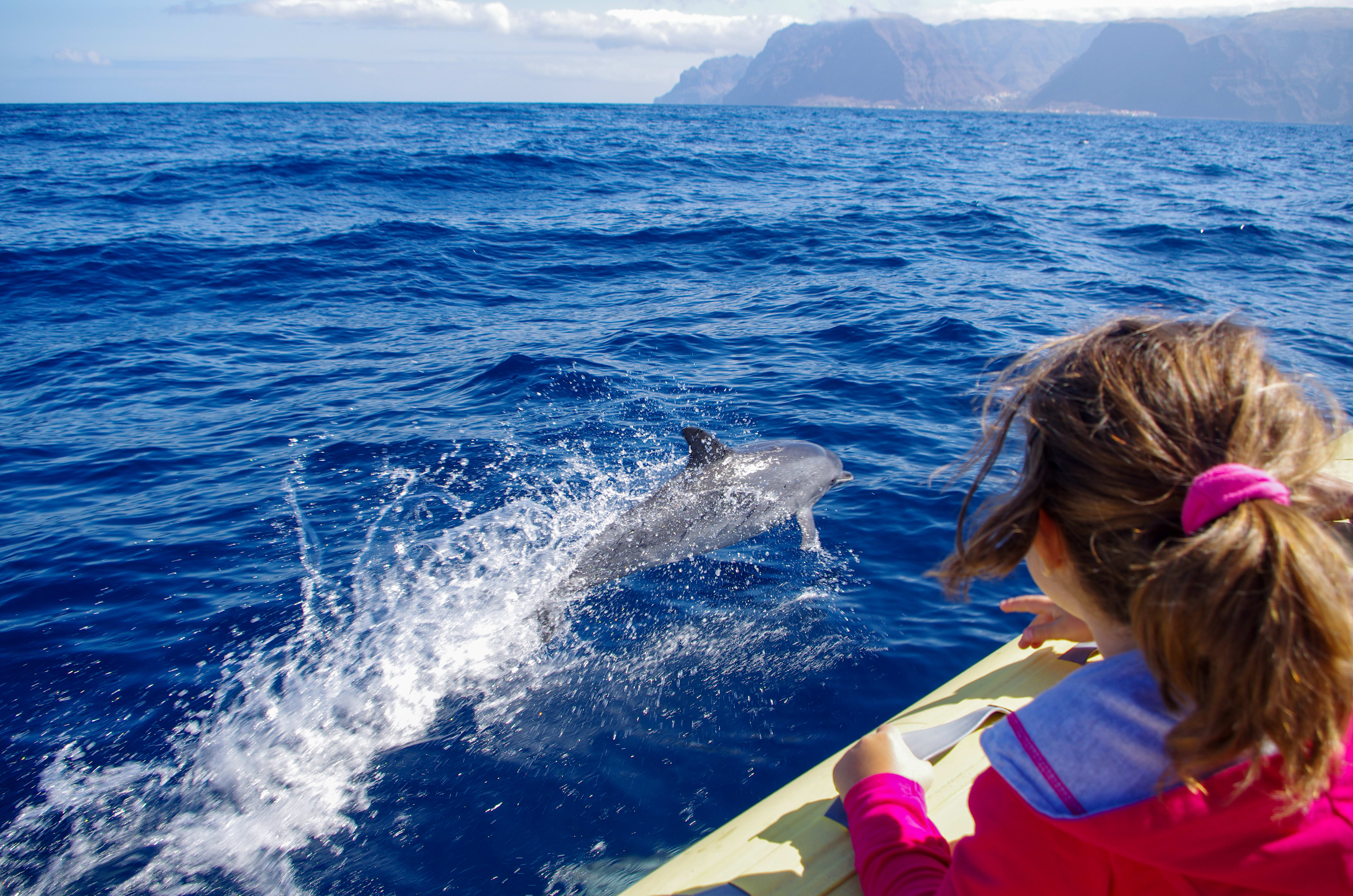 Image Tenerife, volcan endormi et dauphins joueurs