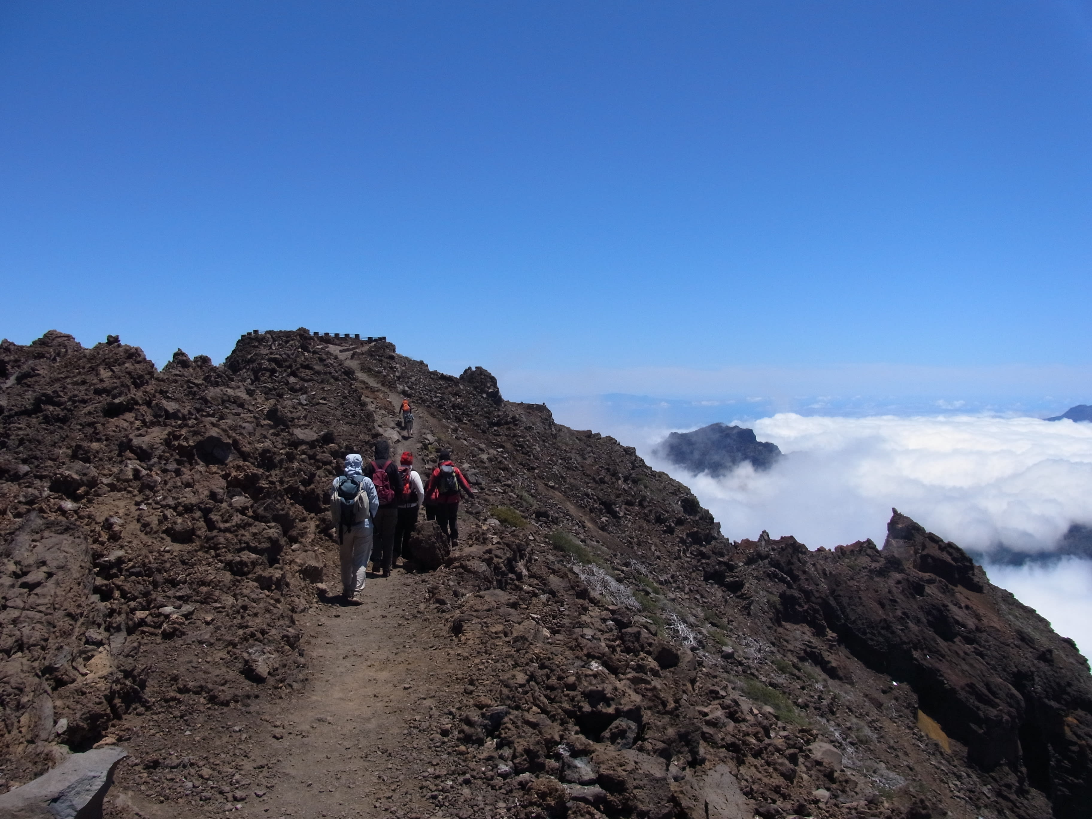 Image La Palma, la Isla Bonita