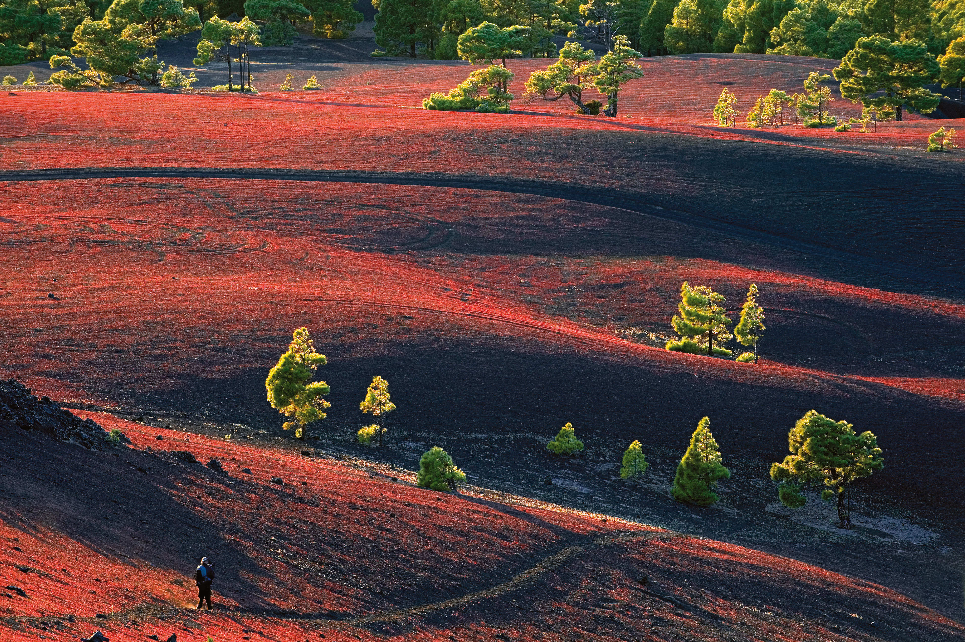 Image La Palma, la Isla Bonita
