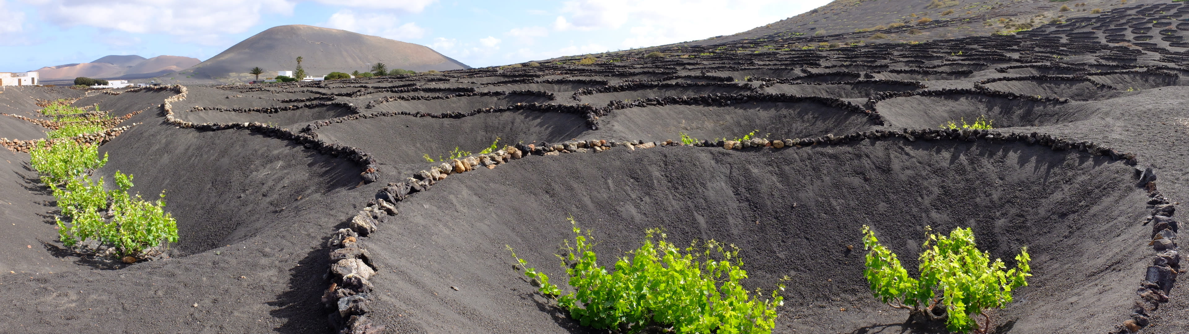 Image Lanzarote, des volcans sur l'Océan