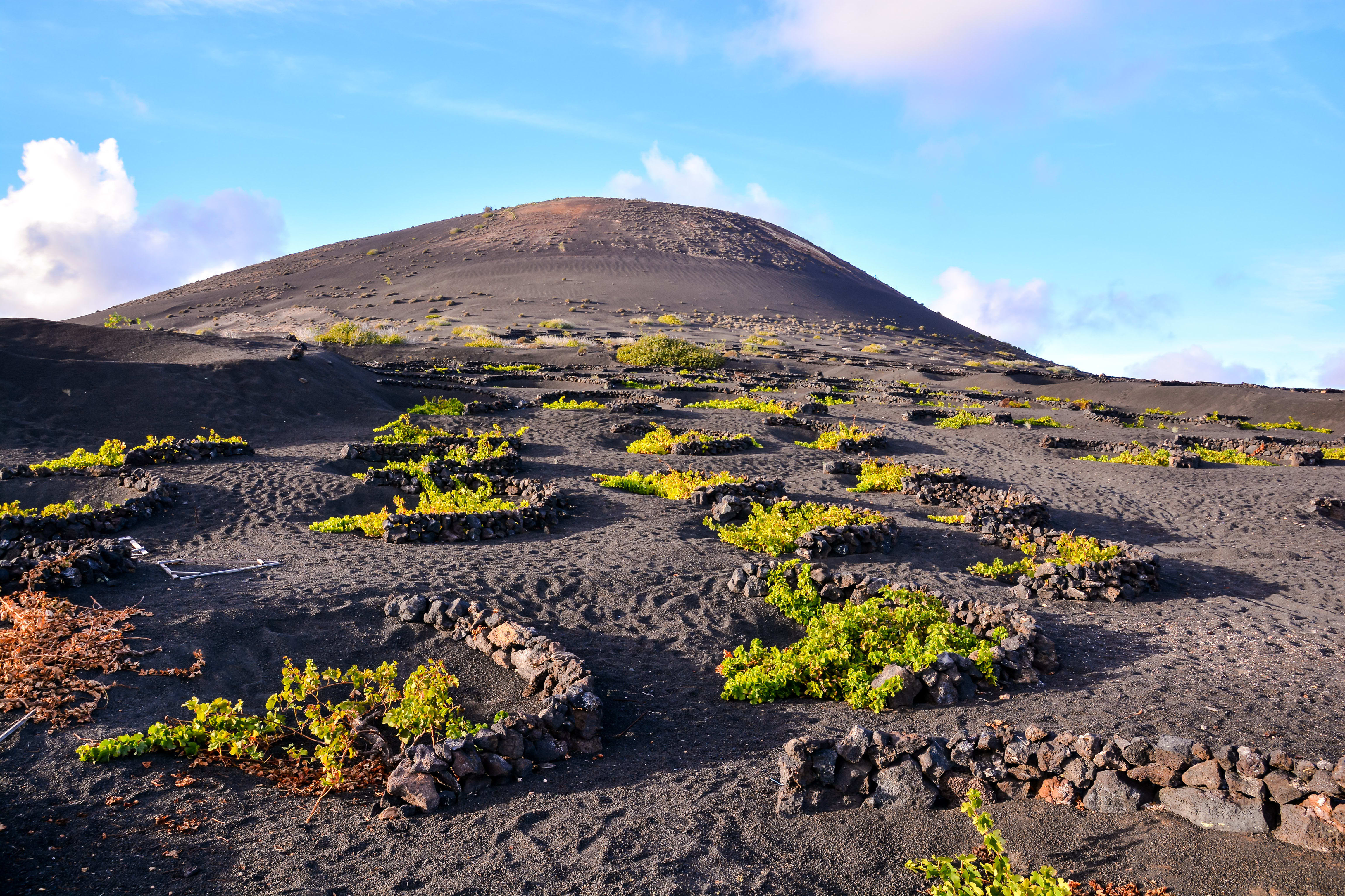 Image Lanzarote, des volcans sur l'Océan