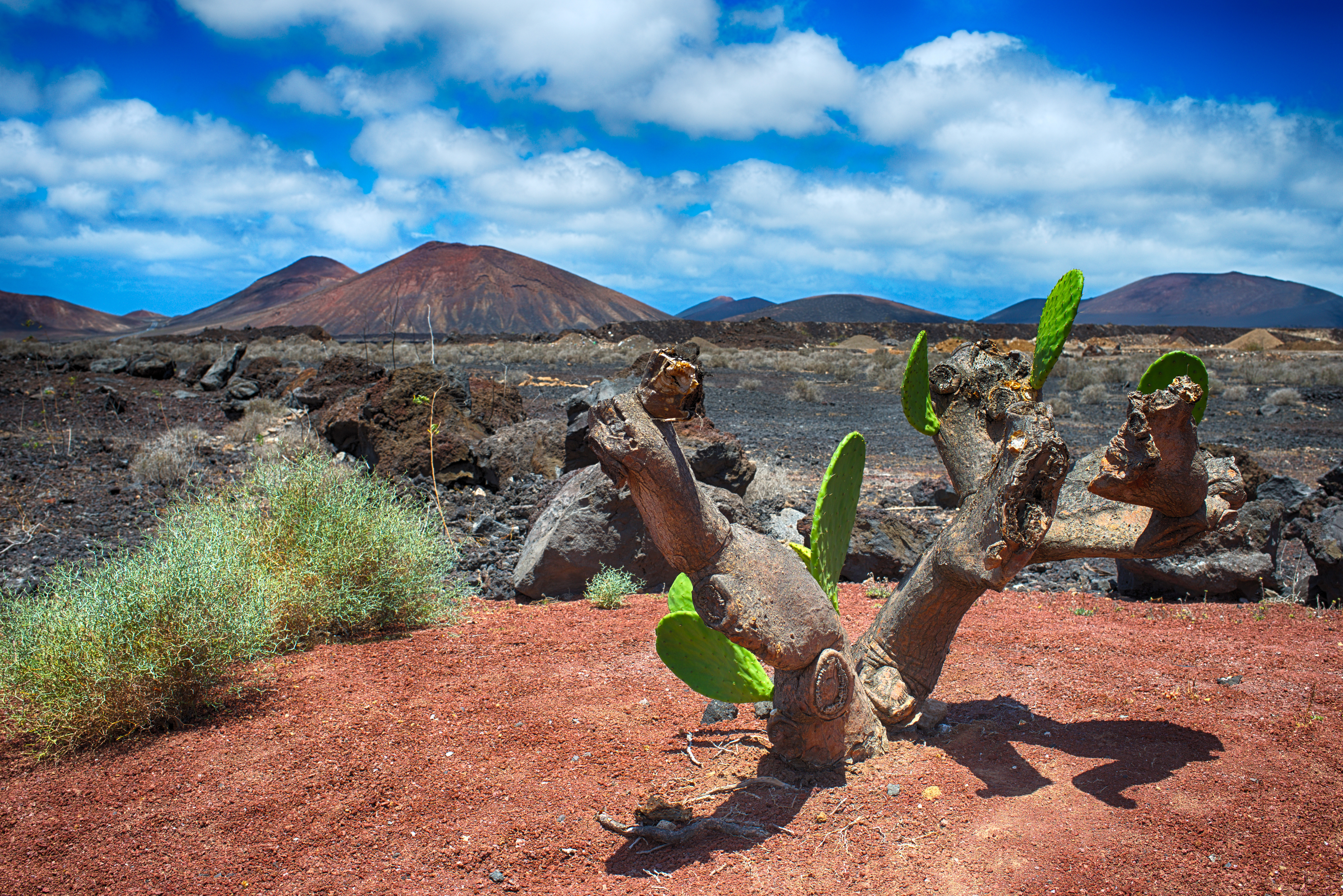 Image Lanzarote, des volcans sur l'Océan