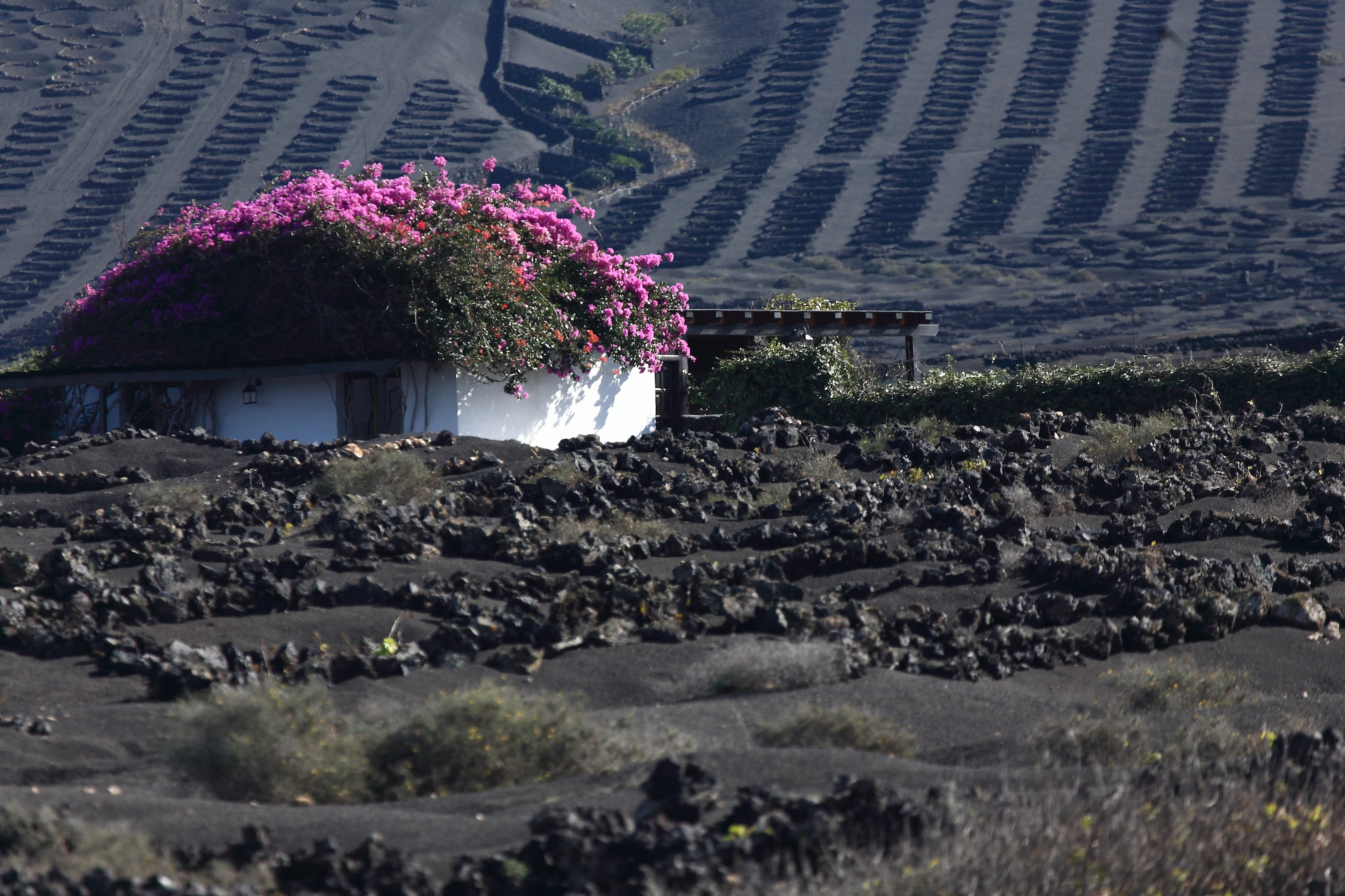 Image Lanzarote, des volcans sur l'Océan