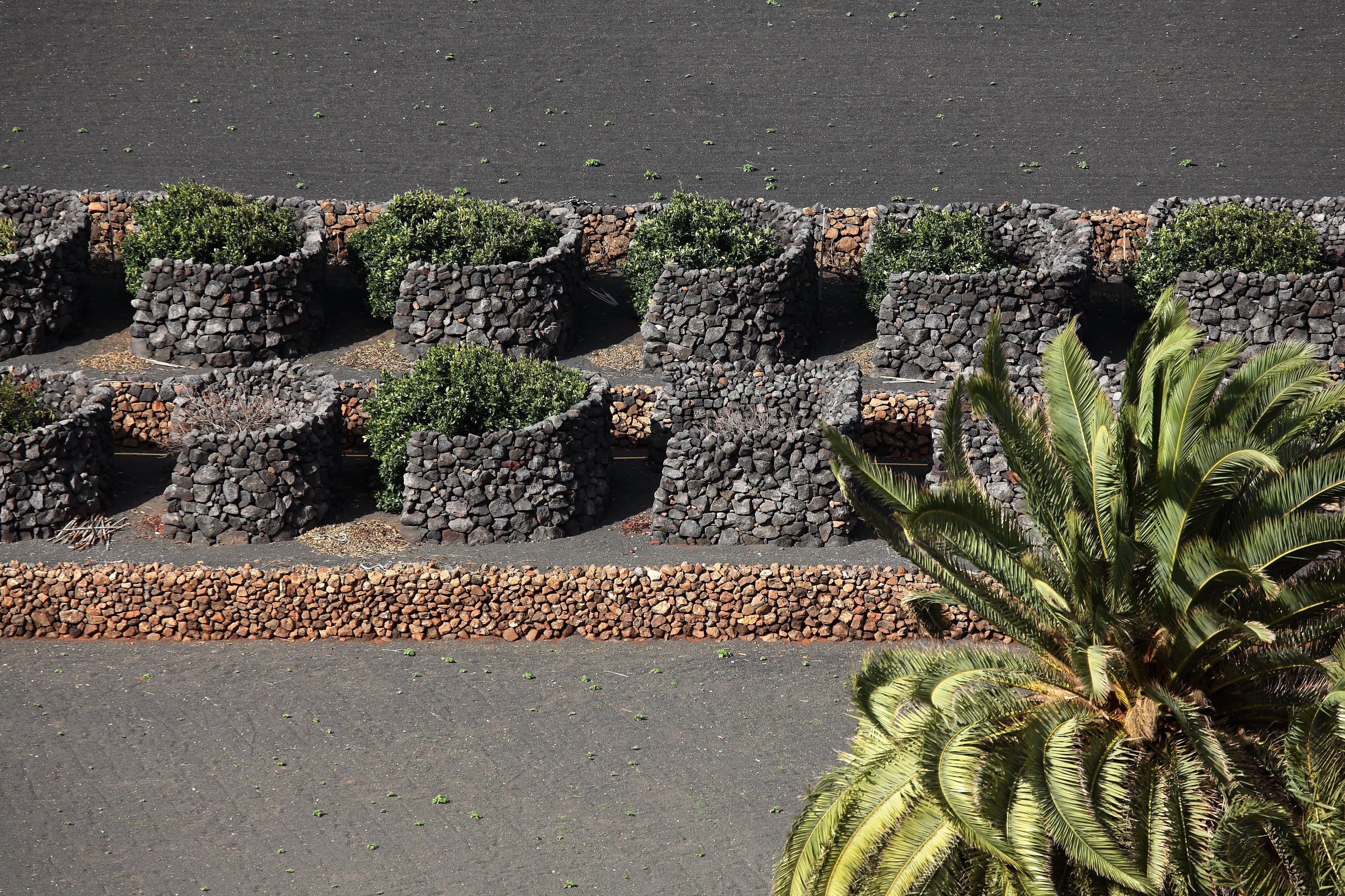 Image Lanzarote, des volcans sur l'Océan