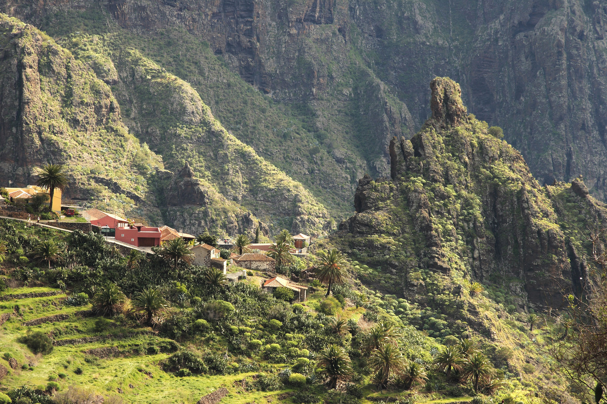 Image Itinérance à Tenerife
