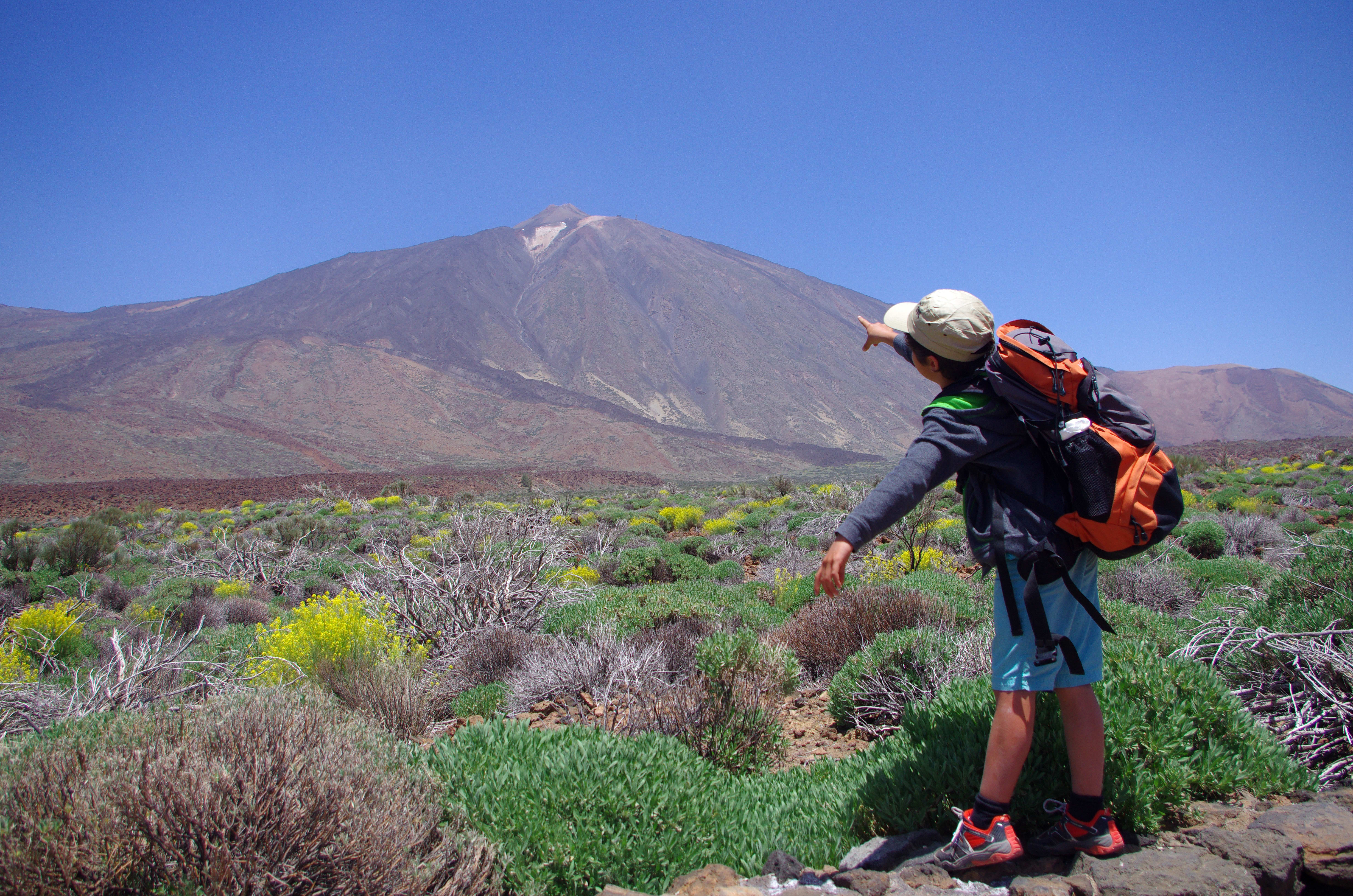 Tenerife, volcan endormi et dauphins joueurs