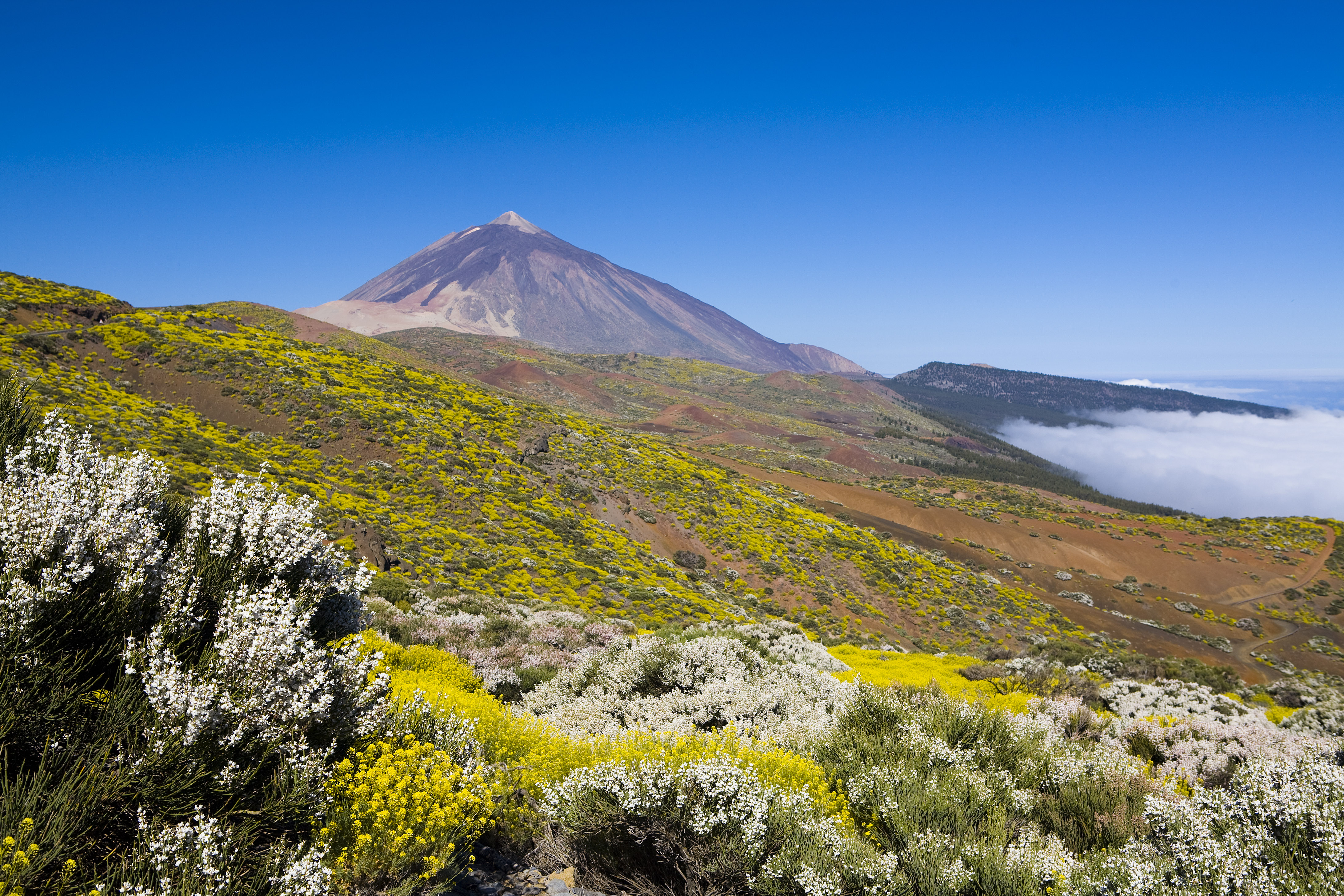Image Trek sur Tenerife