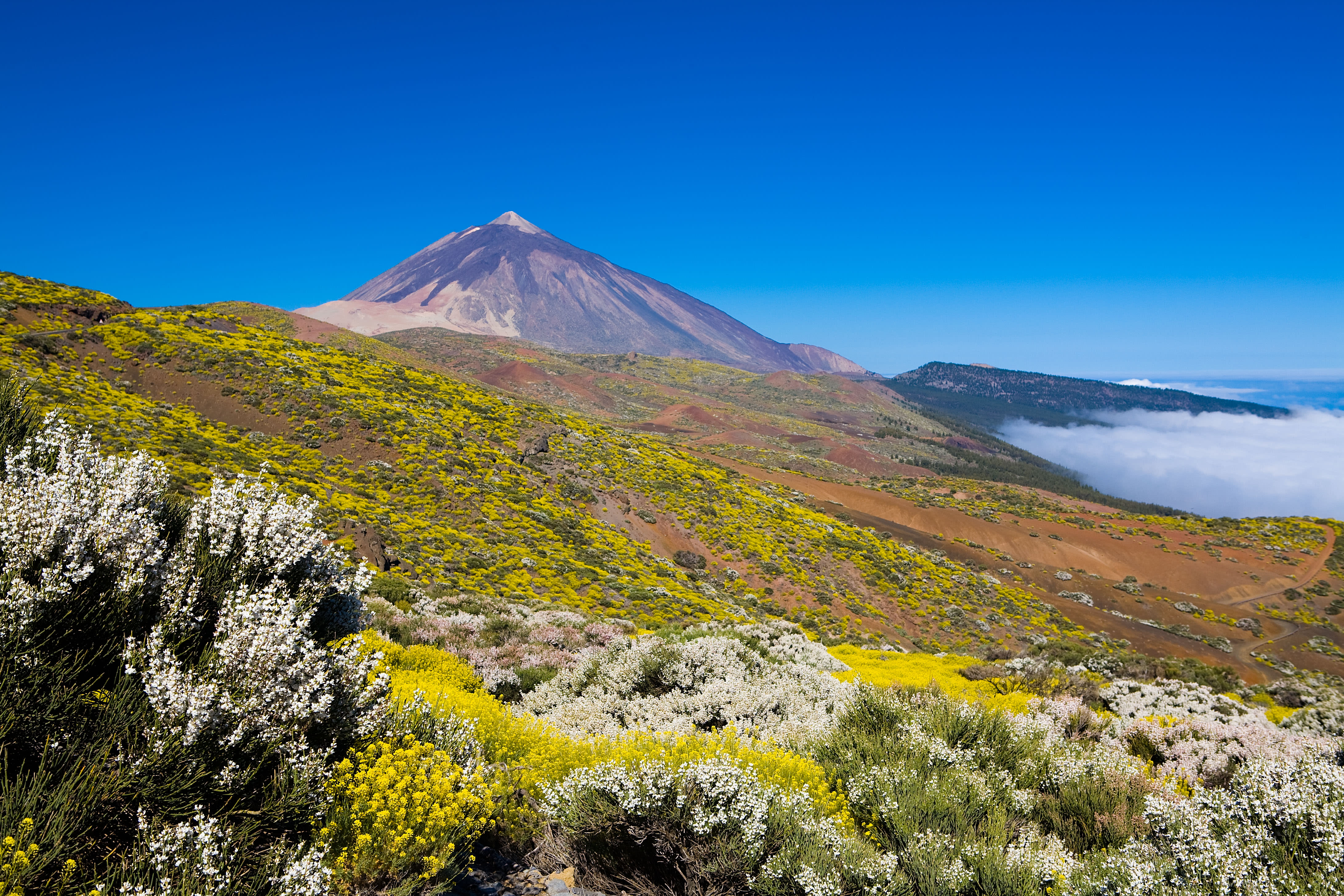 Image Itinérance à Tenerife