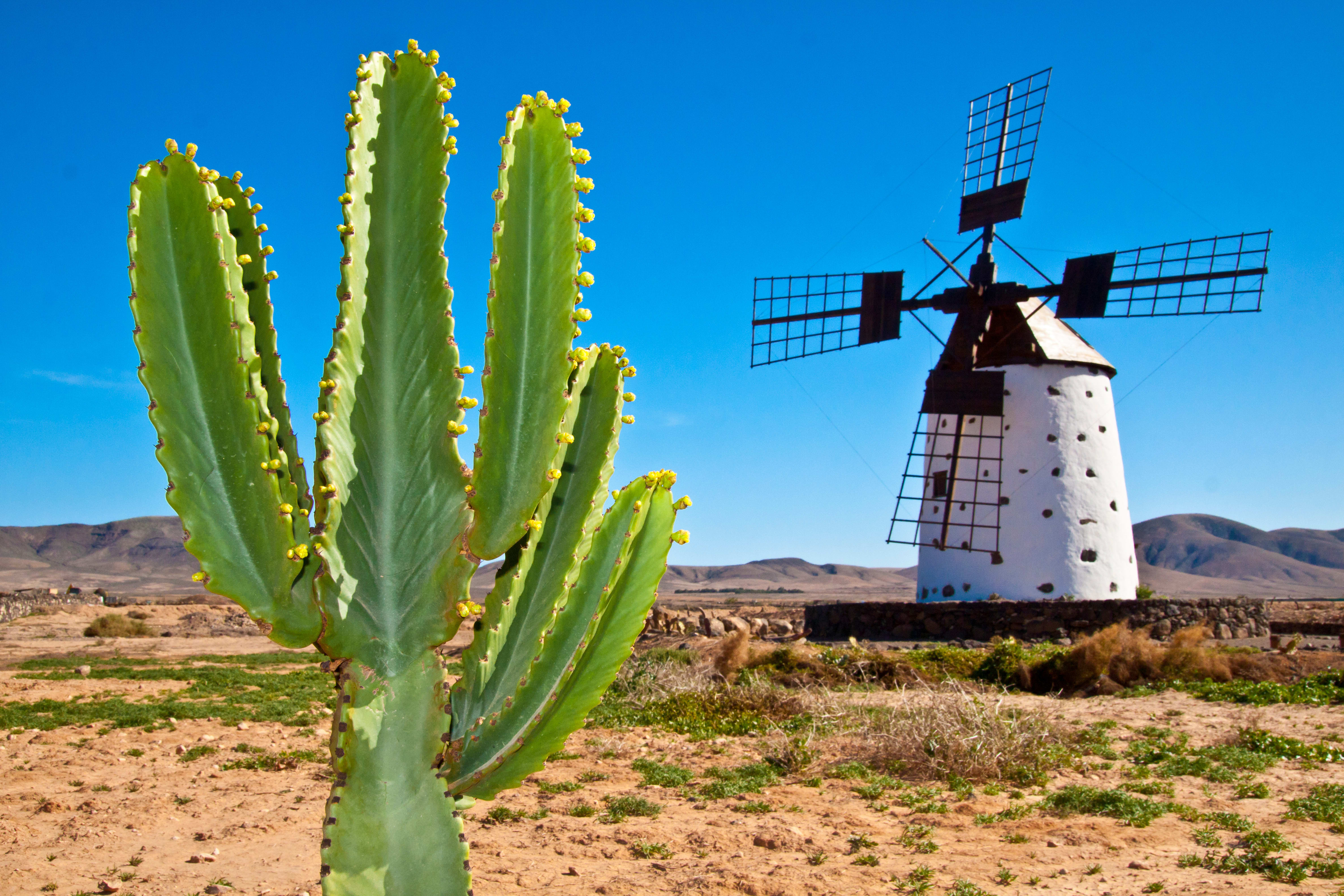 Image Découverte de Fuerteventura