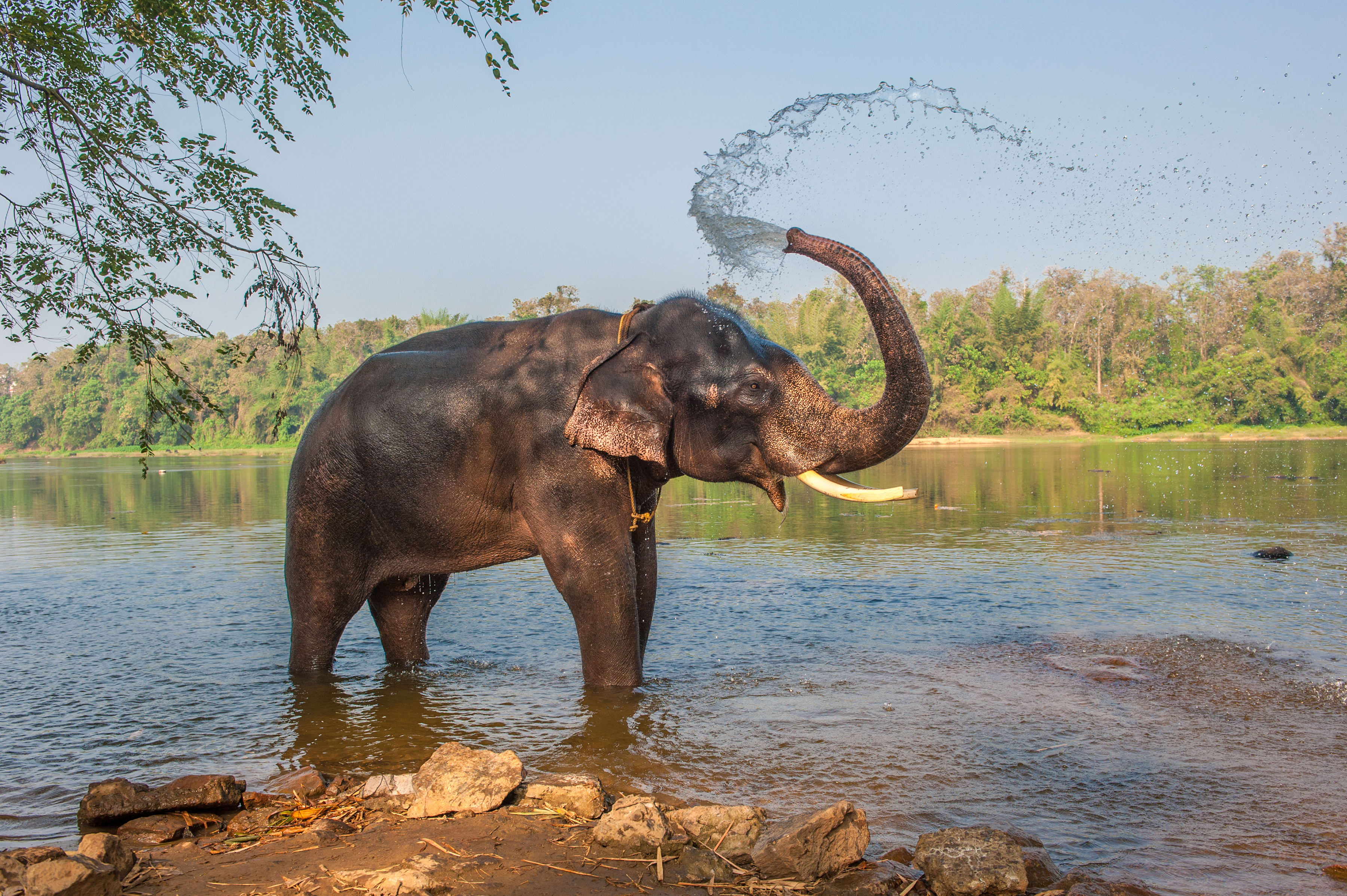 Image Karnataka & Kerala : Randonnées sur la Route des Épices