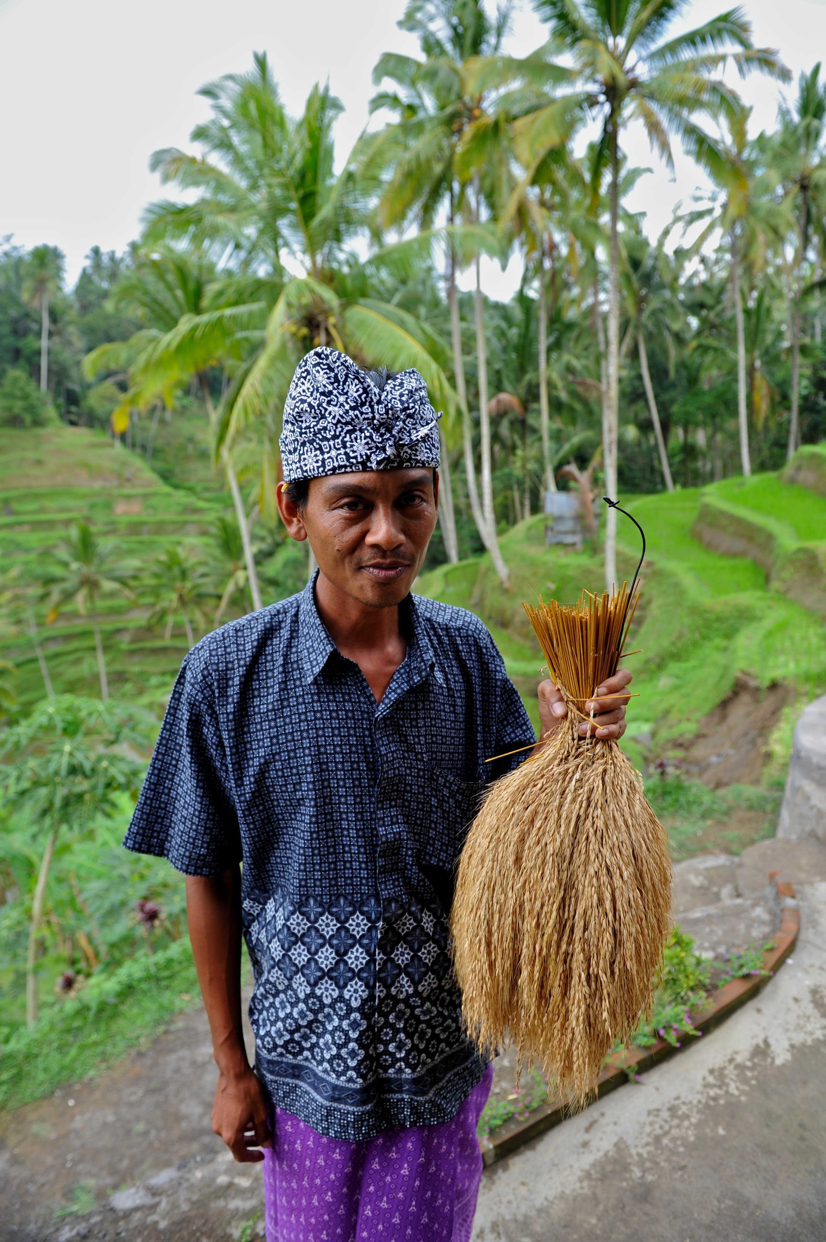 Image Bali, jardin des dieux... île aux enfants