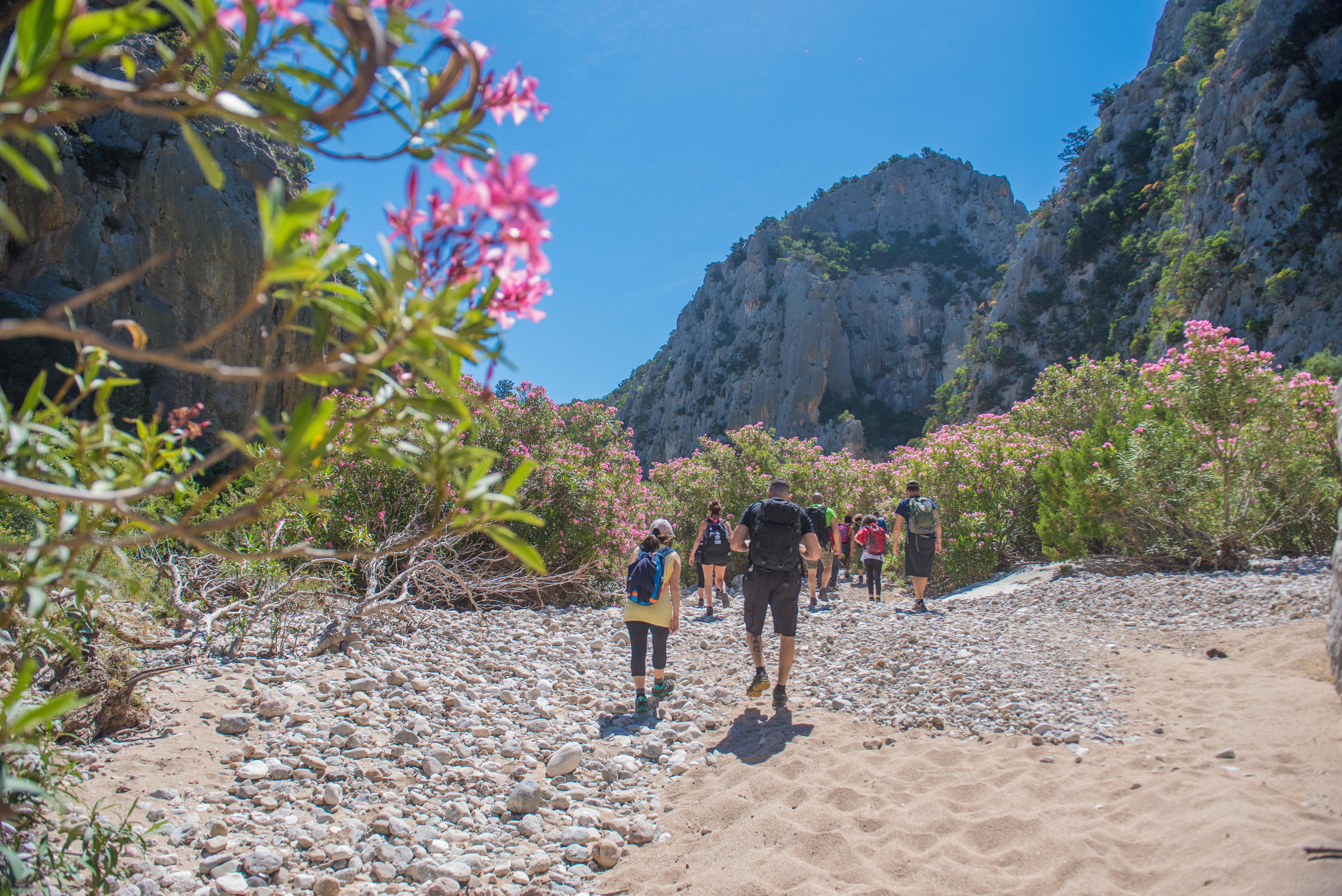 Image Sardaigne sauvage et ses terres de bergers