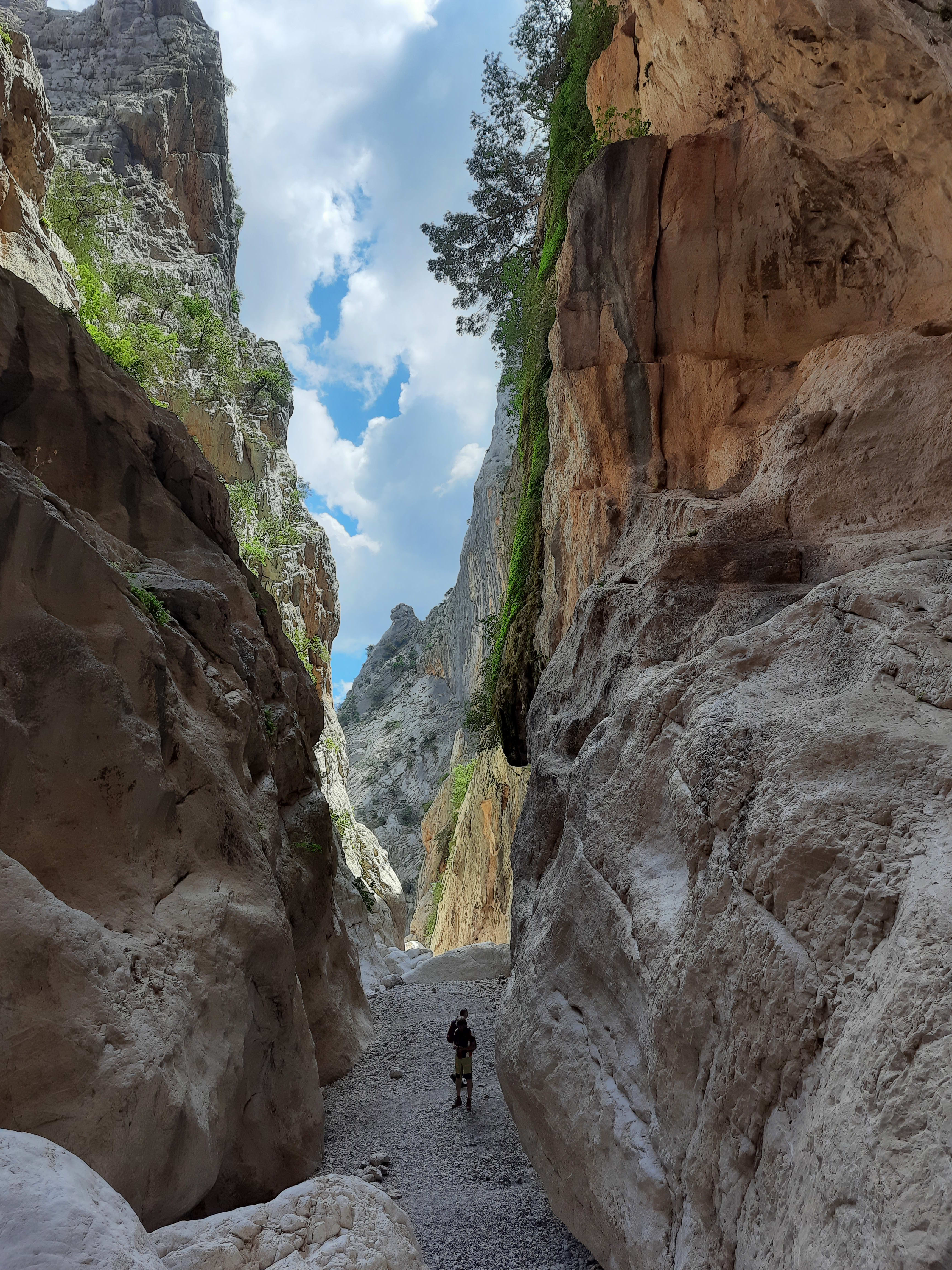 Image Sardaigne sauvage et ses terres de bergers