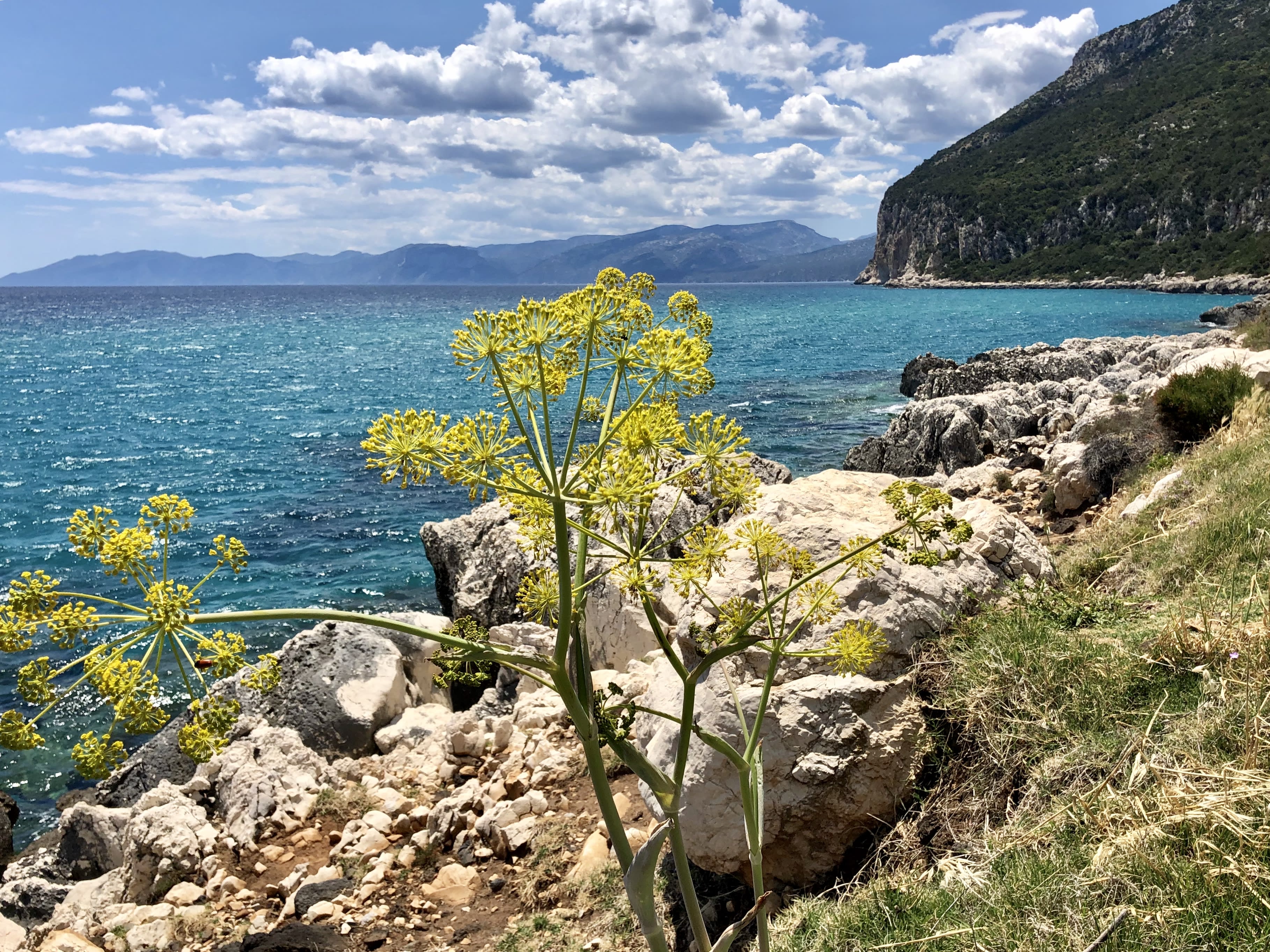 Image Sardaigne sauvage et ses terres de bergers