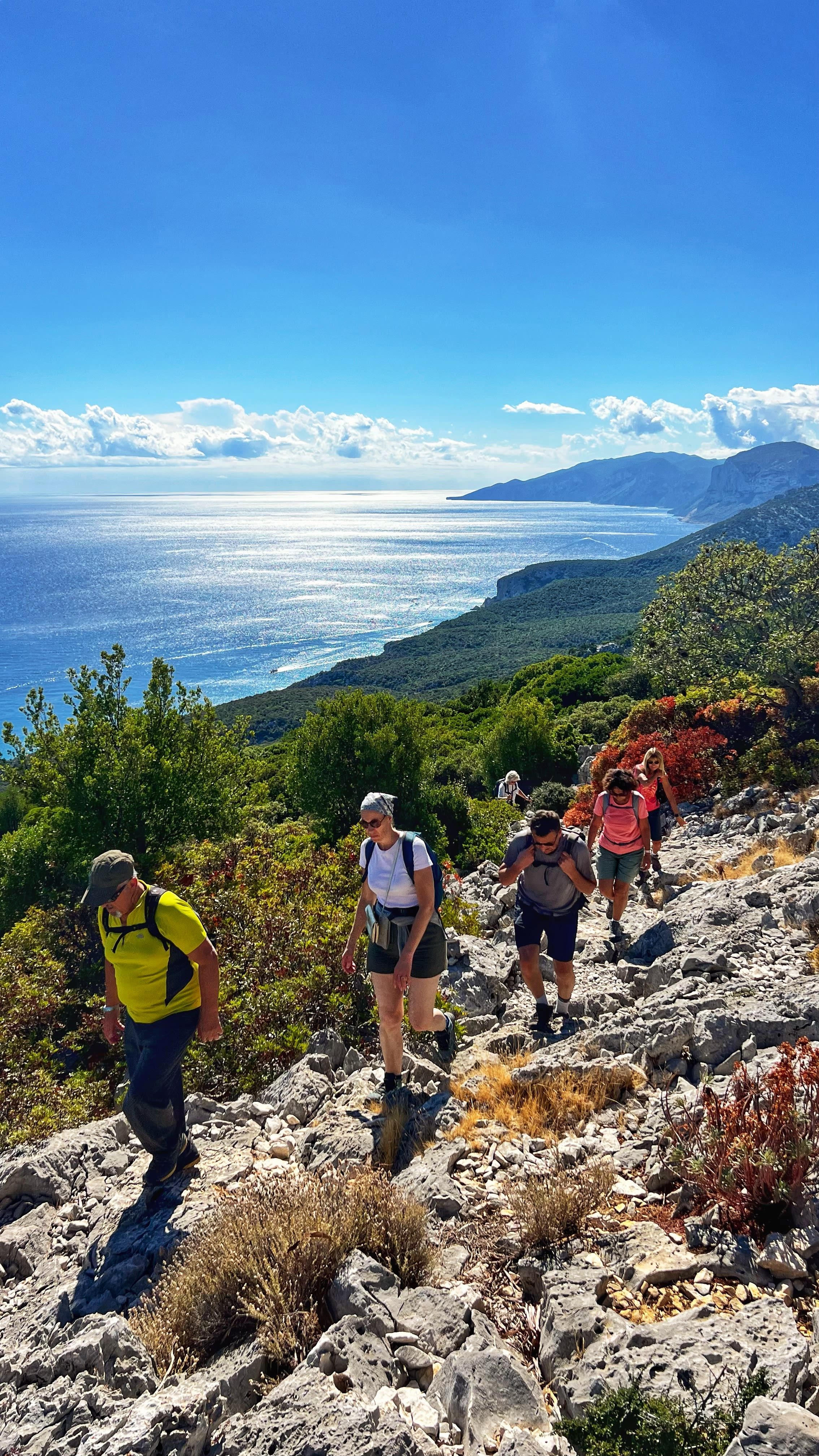 Image Sardaigne sauvage et ses terres de bergers