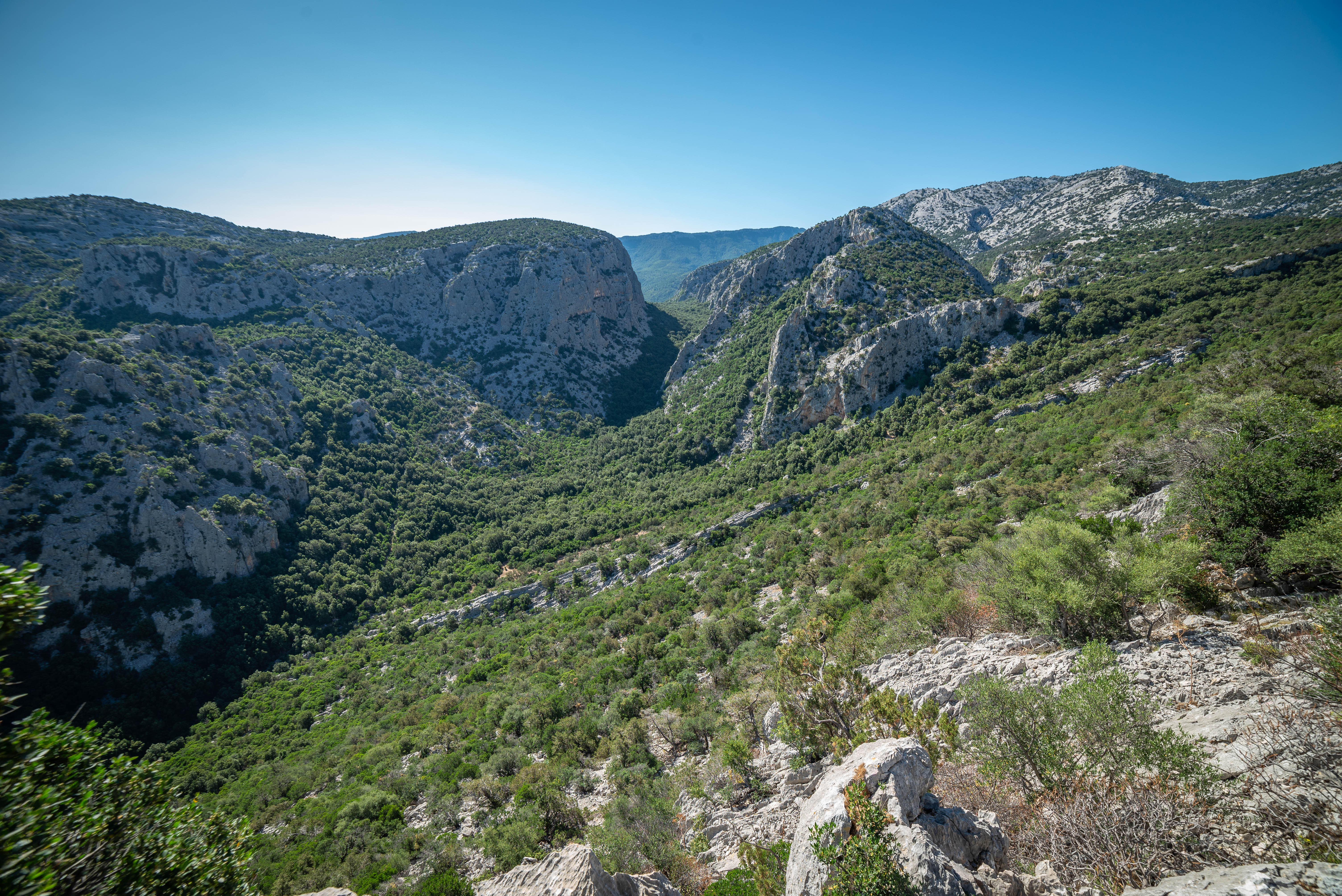 Image Sardaigne sauvage et ses terres de bergers