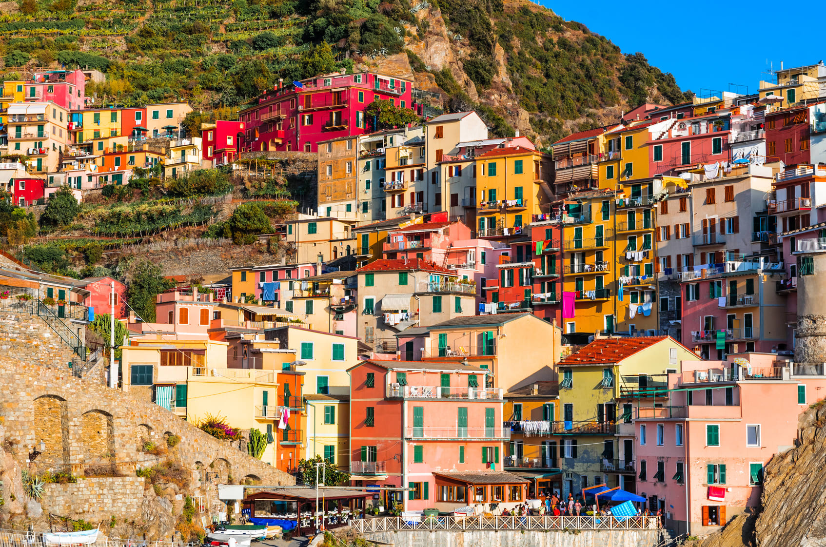 Image Cinque Terre et la presqu'île de Portofino