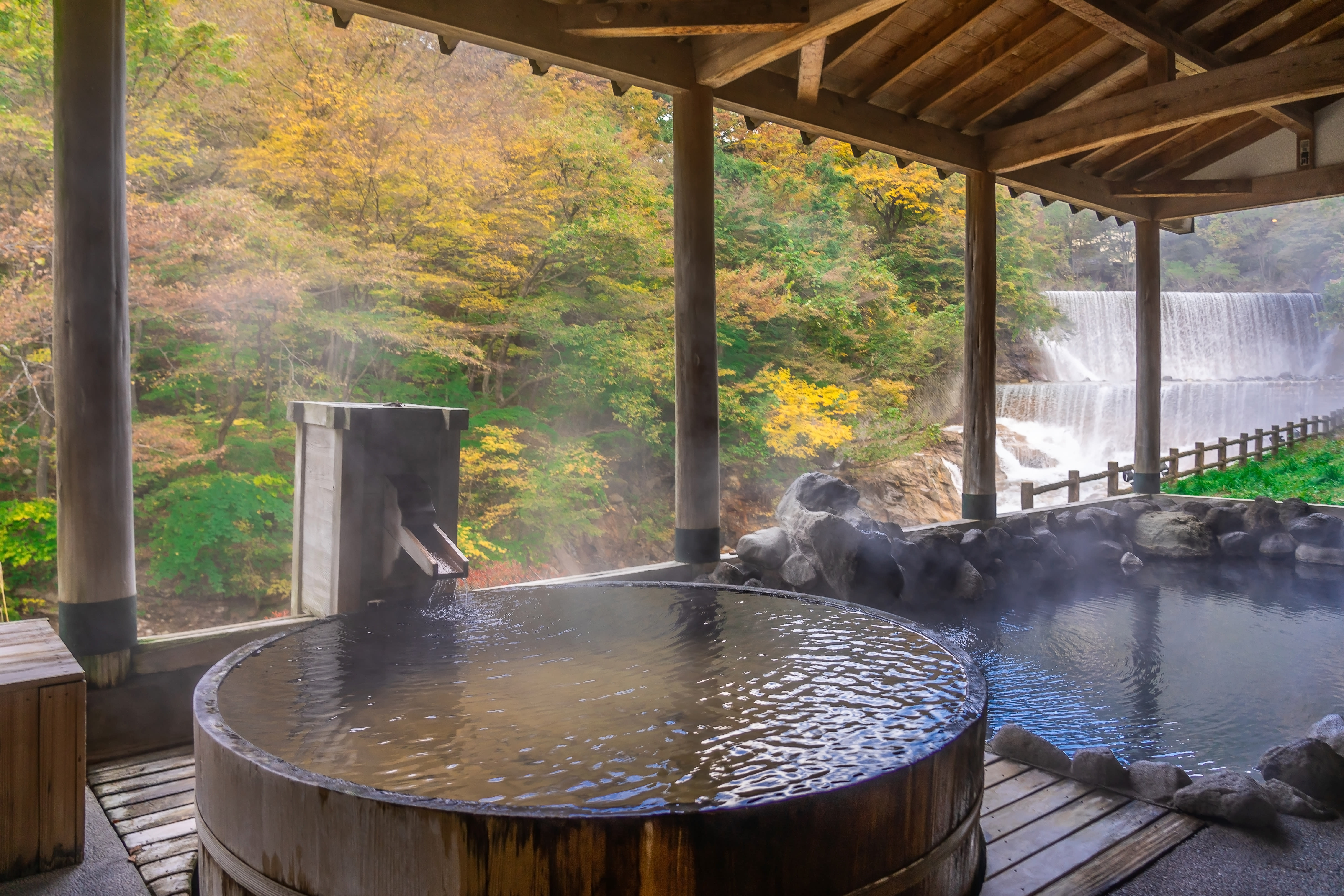 Image De Kyoto à Tokyo, en passant par les chemins du Kumano Kodo