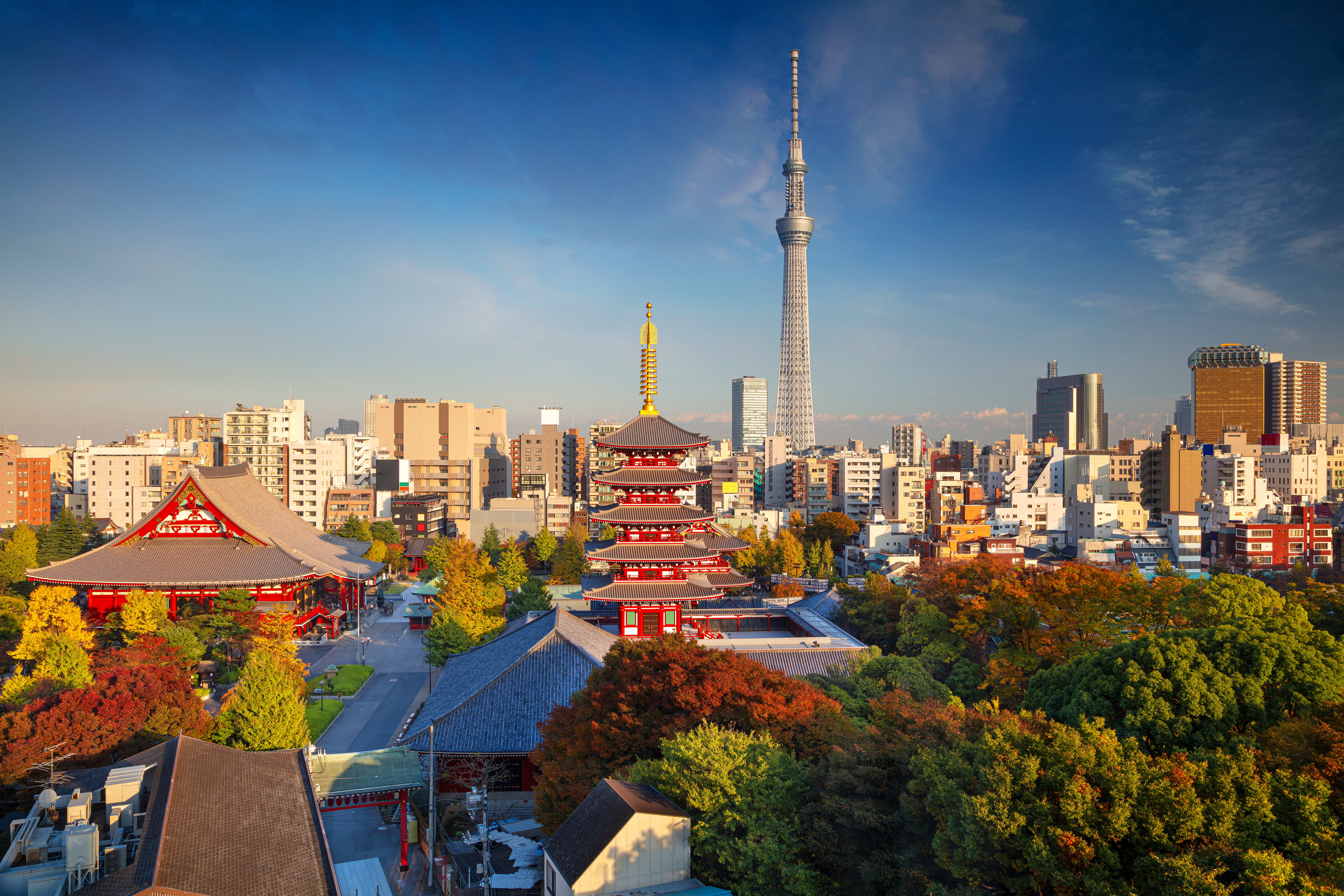 Image De Kyoto à Tokyo, en passant par les chemins du Kumano Kodo