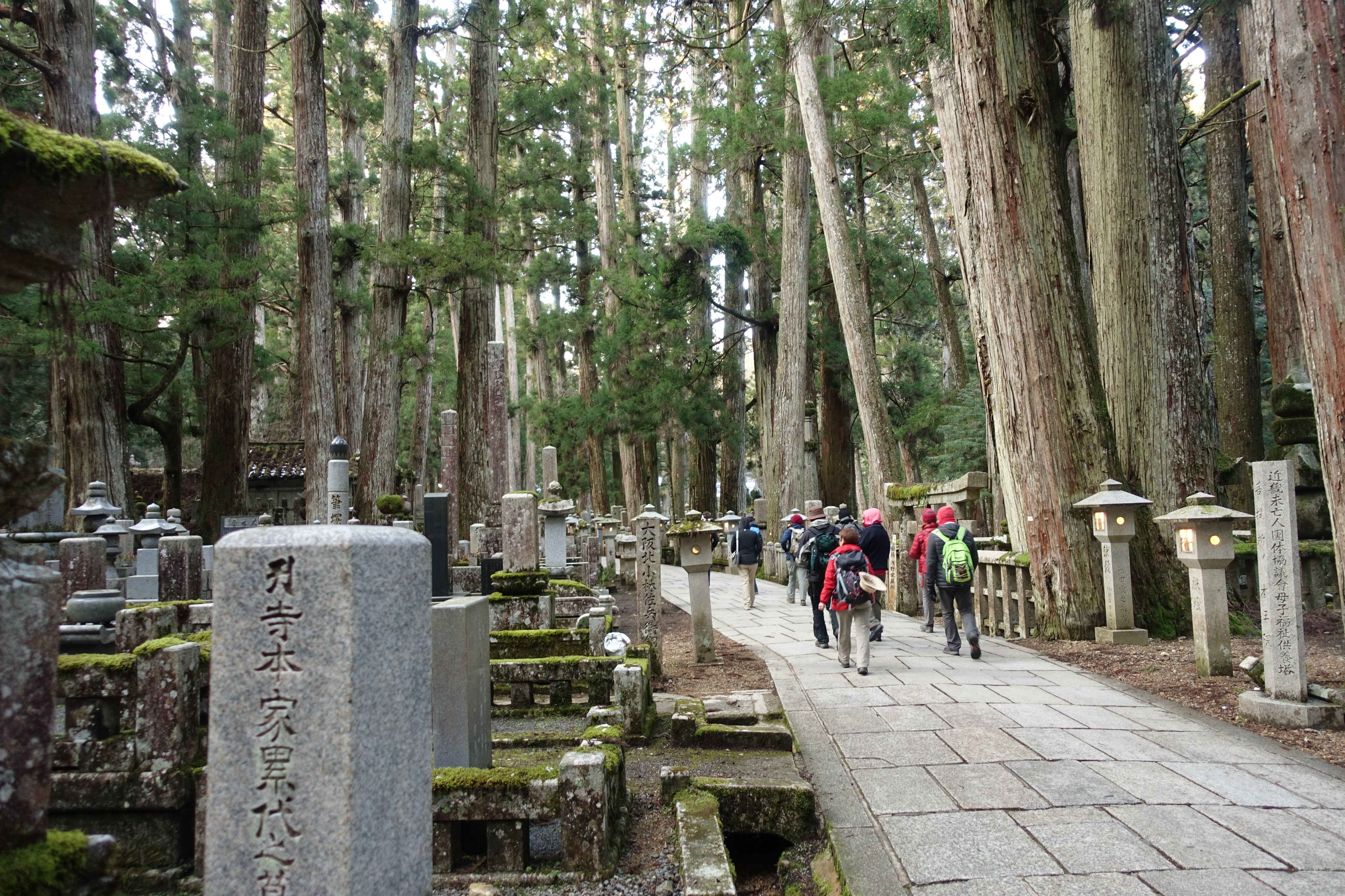 Image De Kyoto à Tokyo, en passant par les chemins du Kumano Kodo